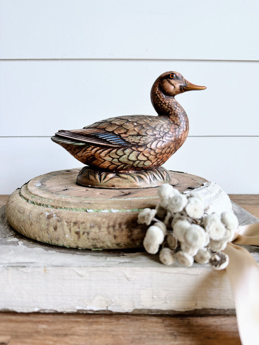 Pretty Vintage Duck