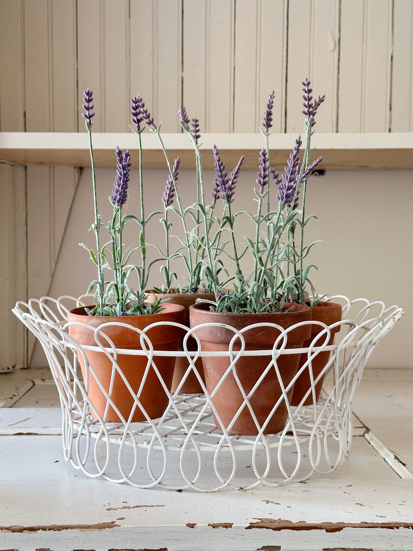 Vintage Chippy Wire Basket & Worn Terra Cotta Pots