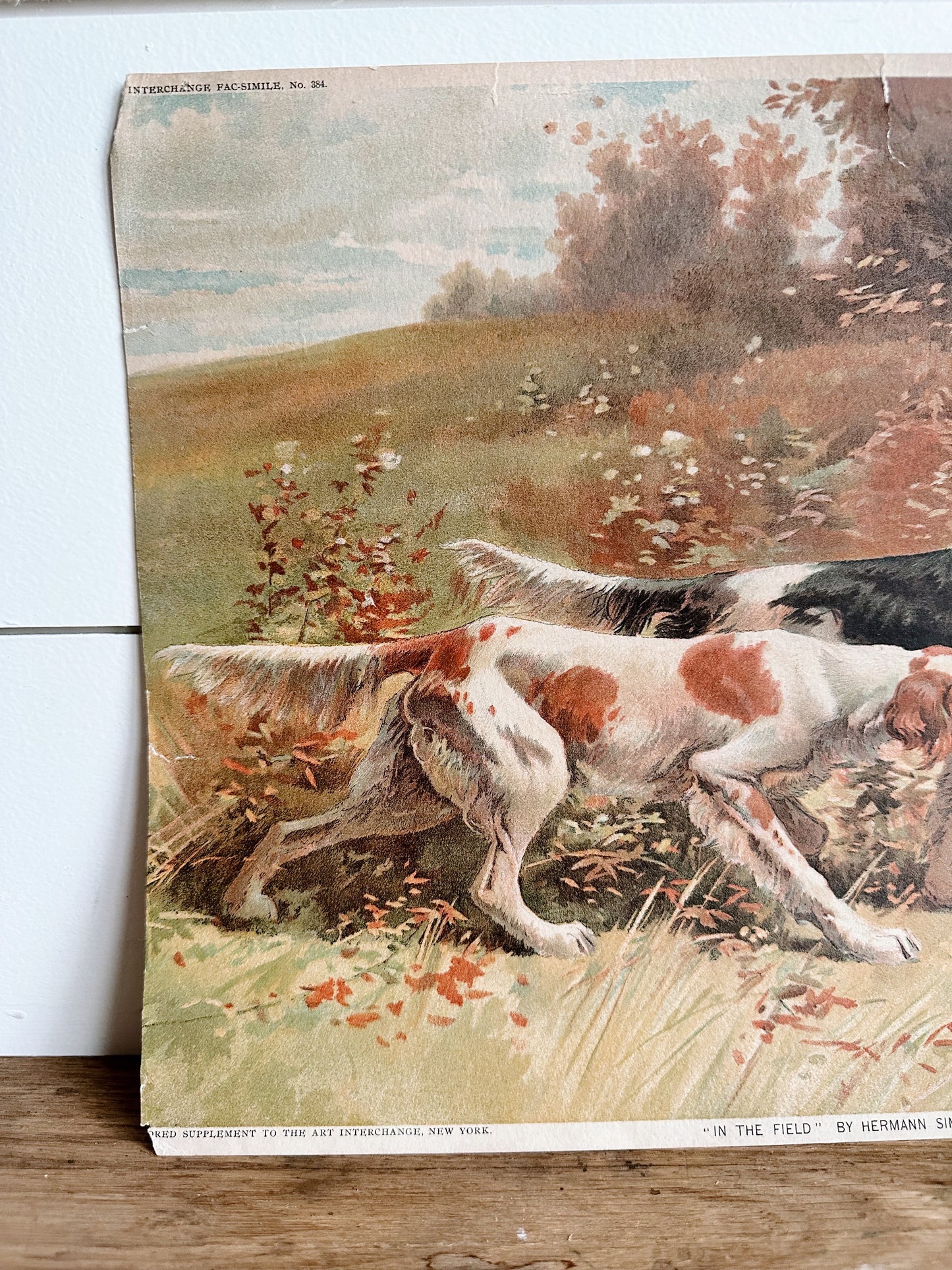 Vintage Dog Print