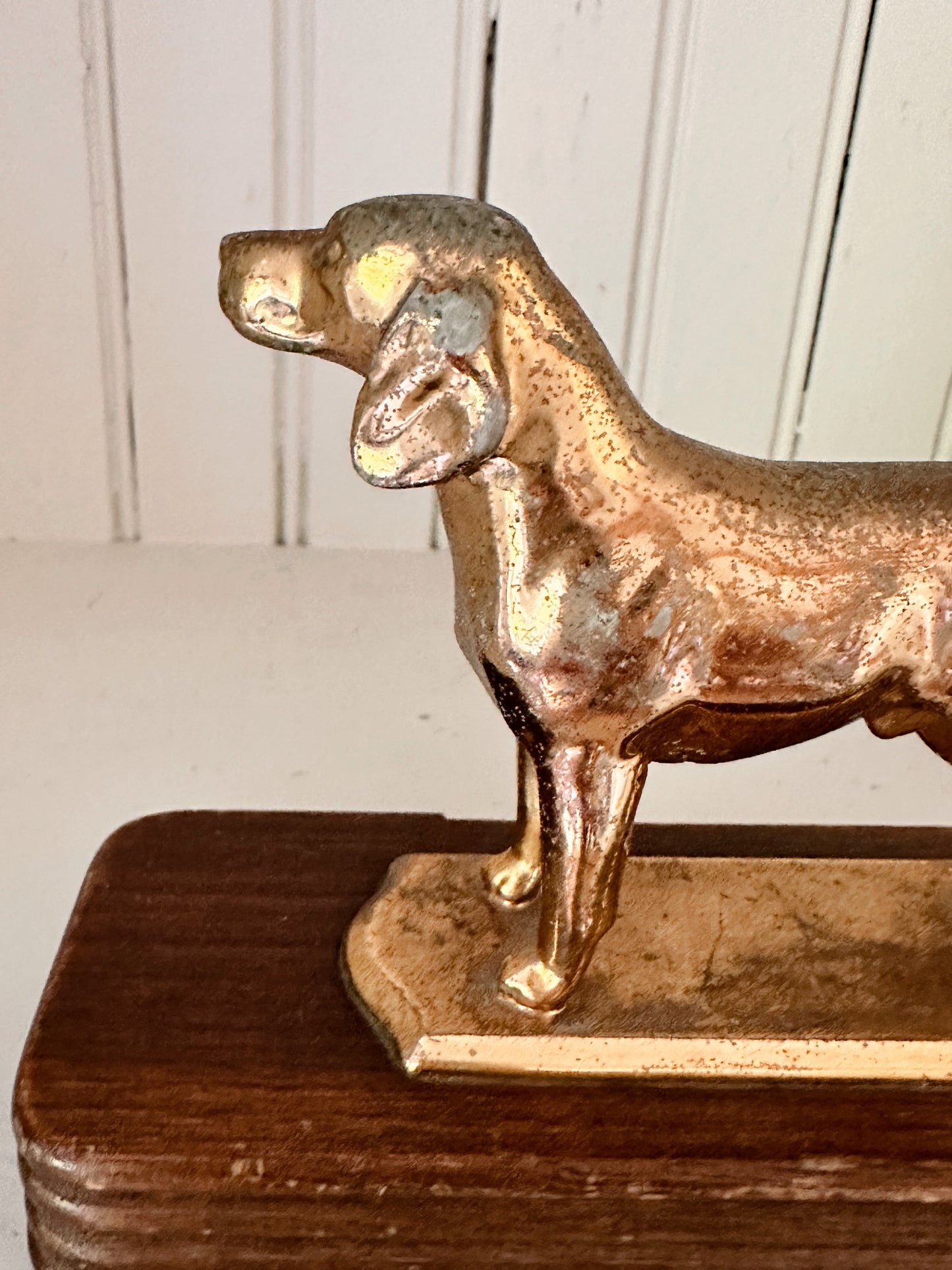 Vintage Dog Trophy