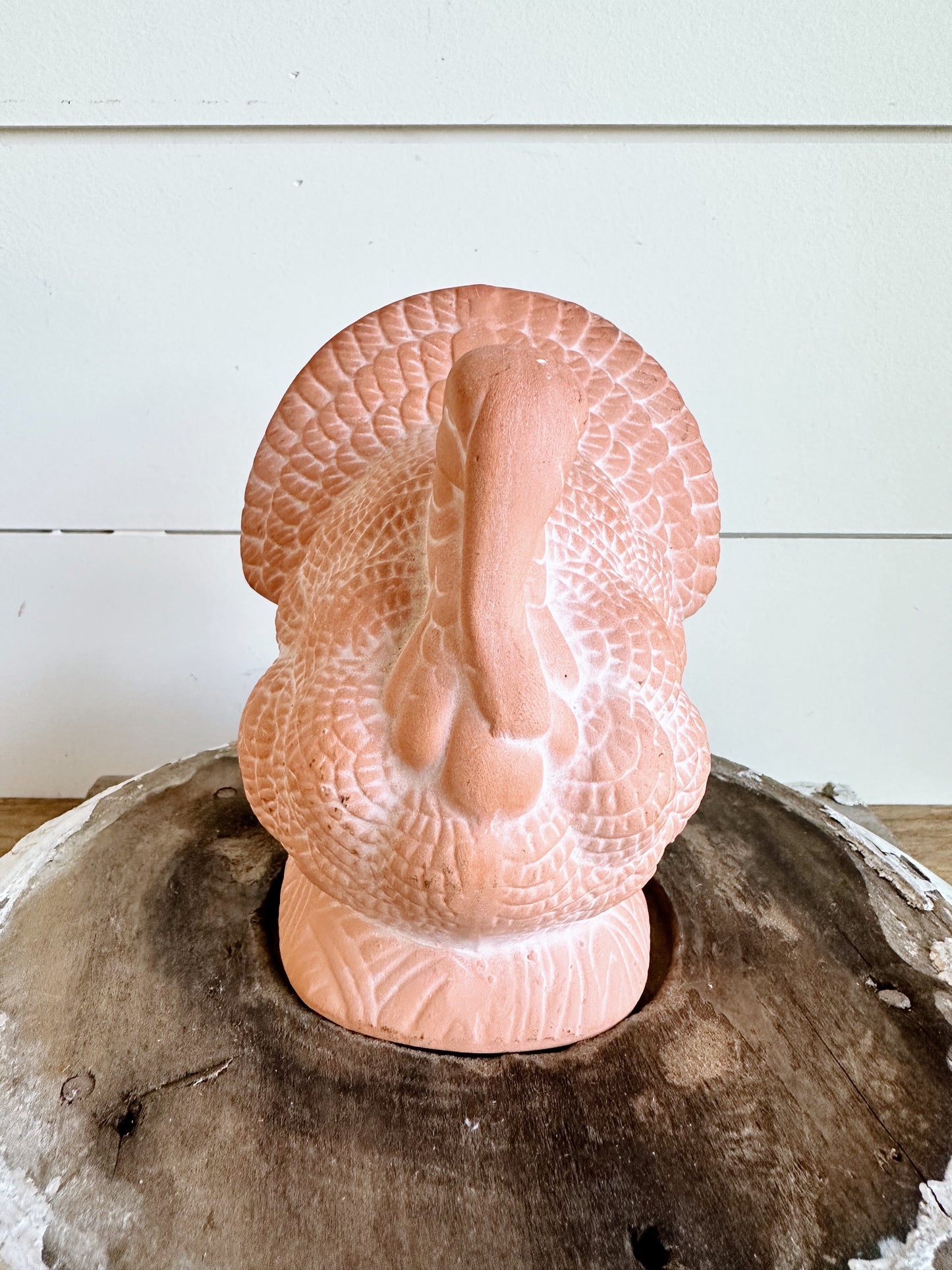 Sweet Little Terra Cotta Turkey