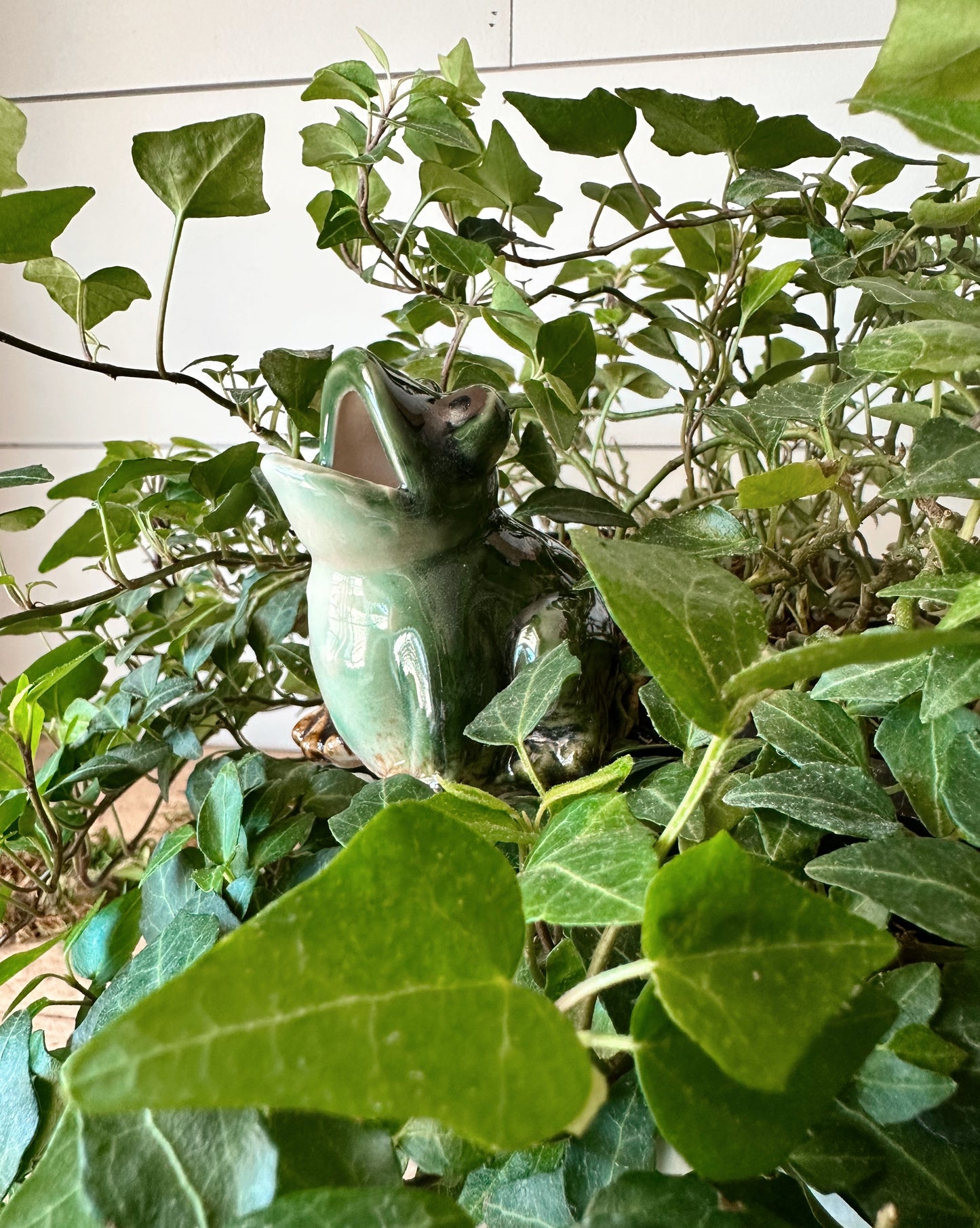 Self Watering Plant Spikes
