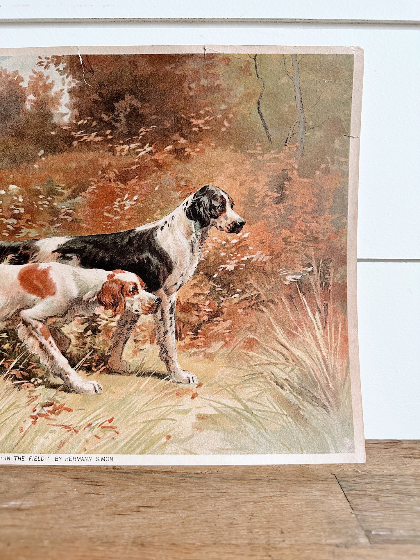 Vintage Dog Print