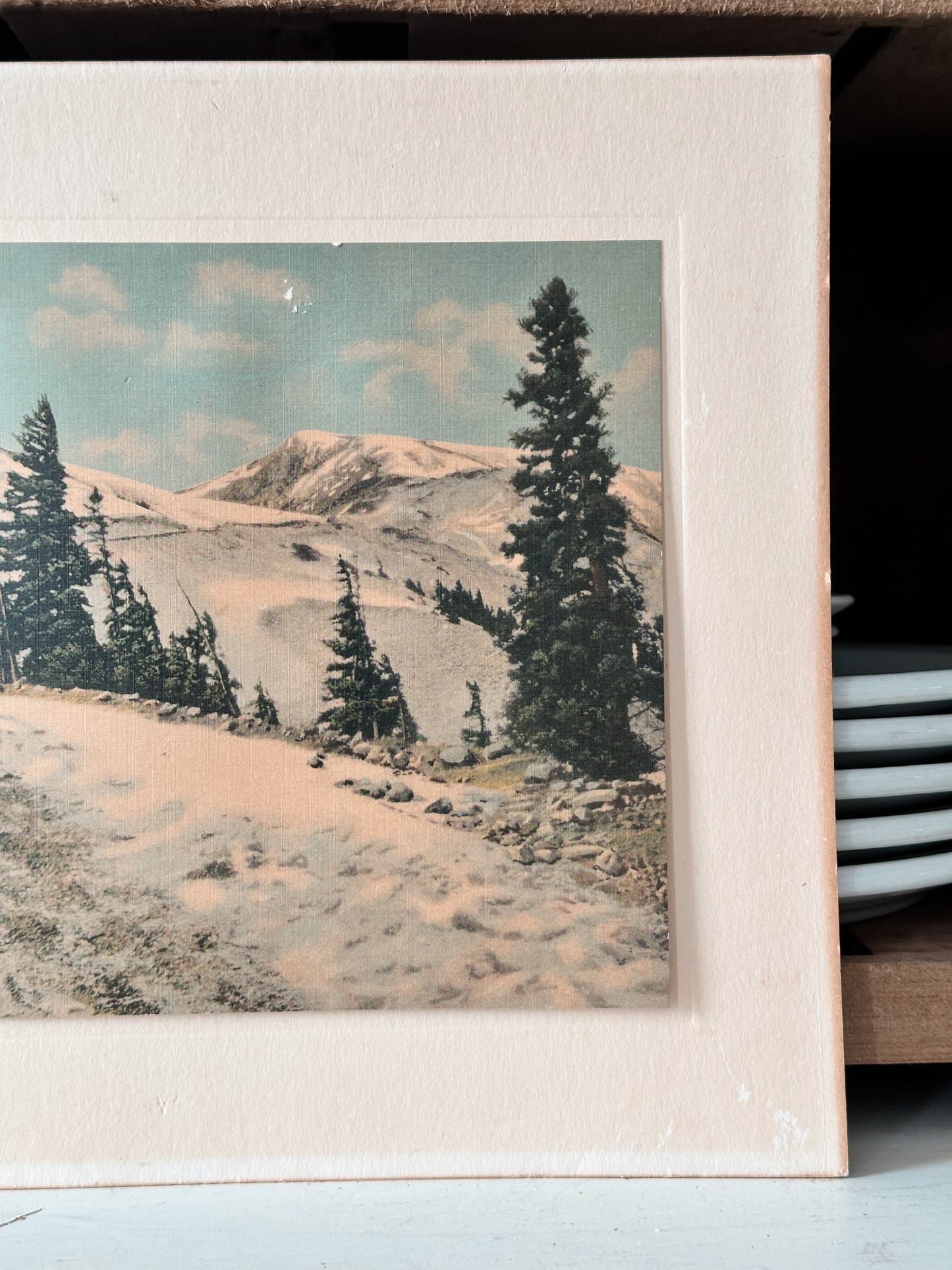 Vintage Winter Print