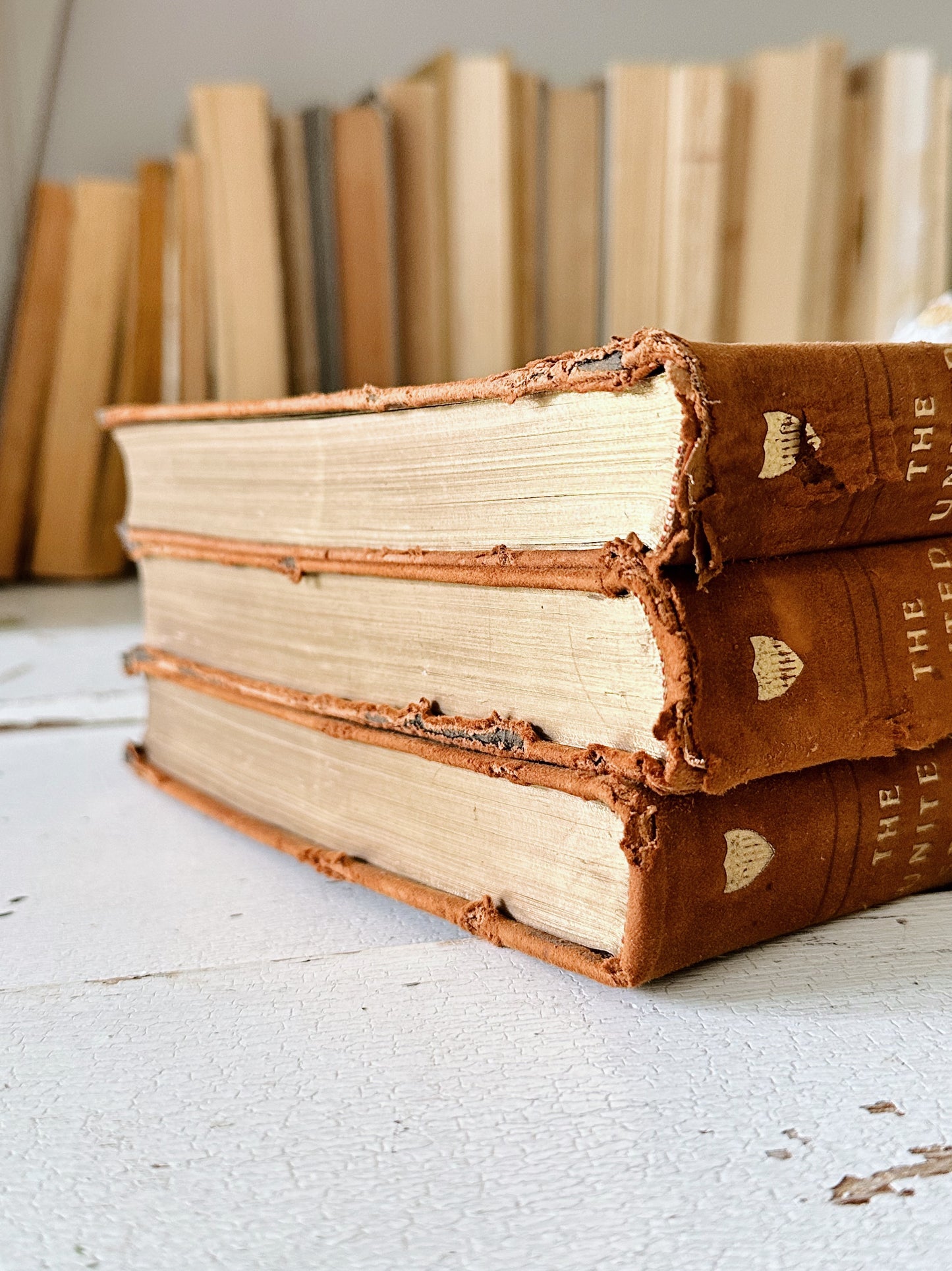 Collection of Three 1913 Antique Suede Bound The United States Books