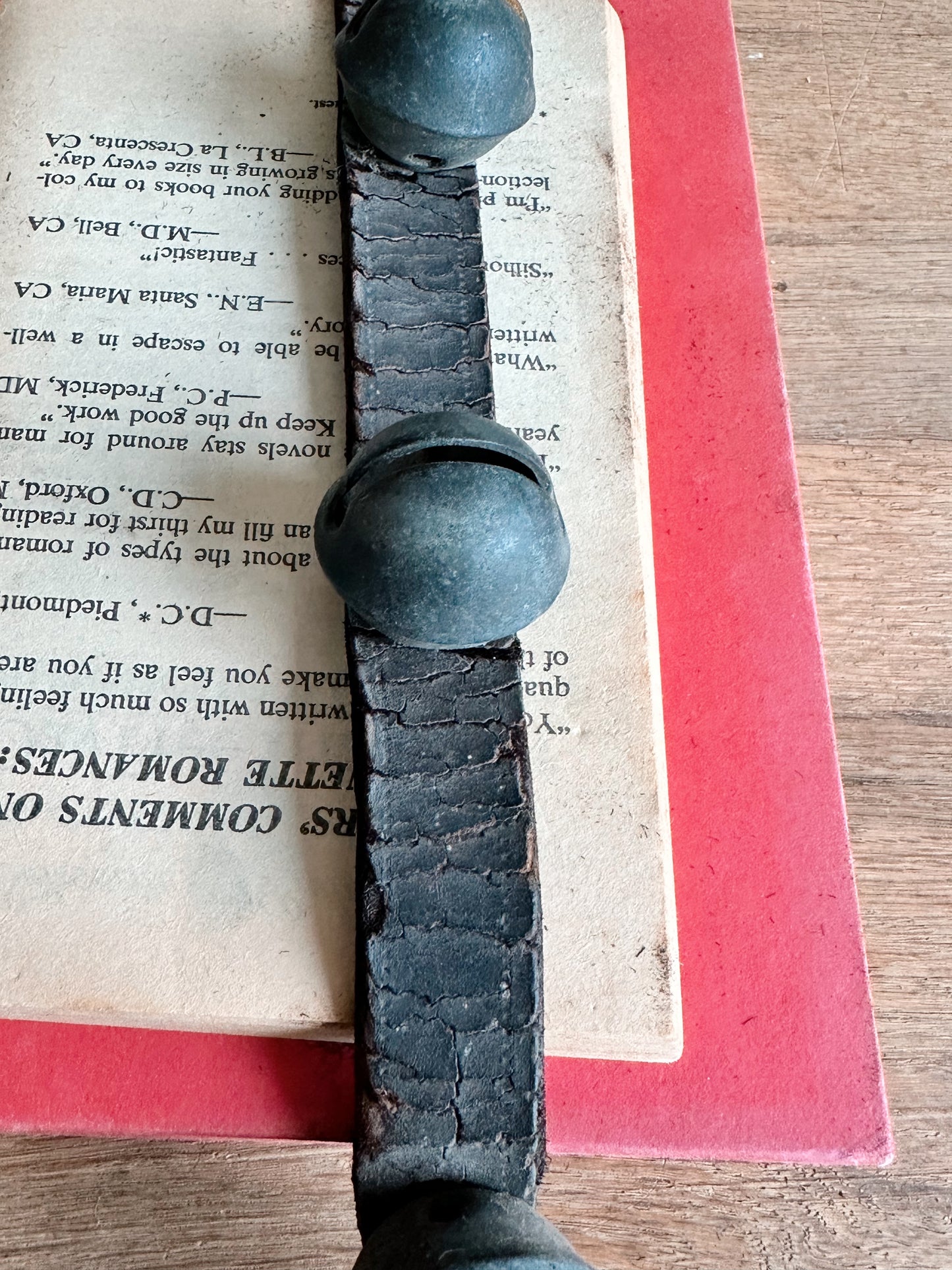 Antique Sleigh Bells