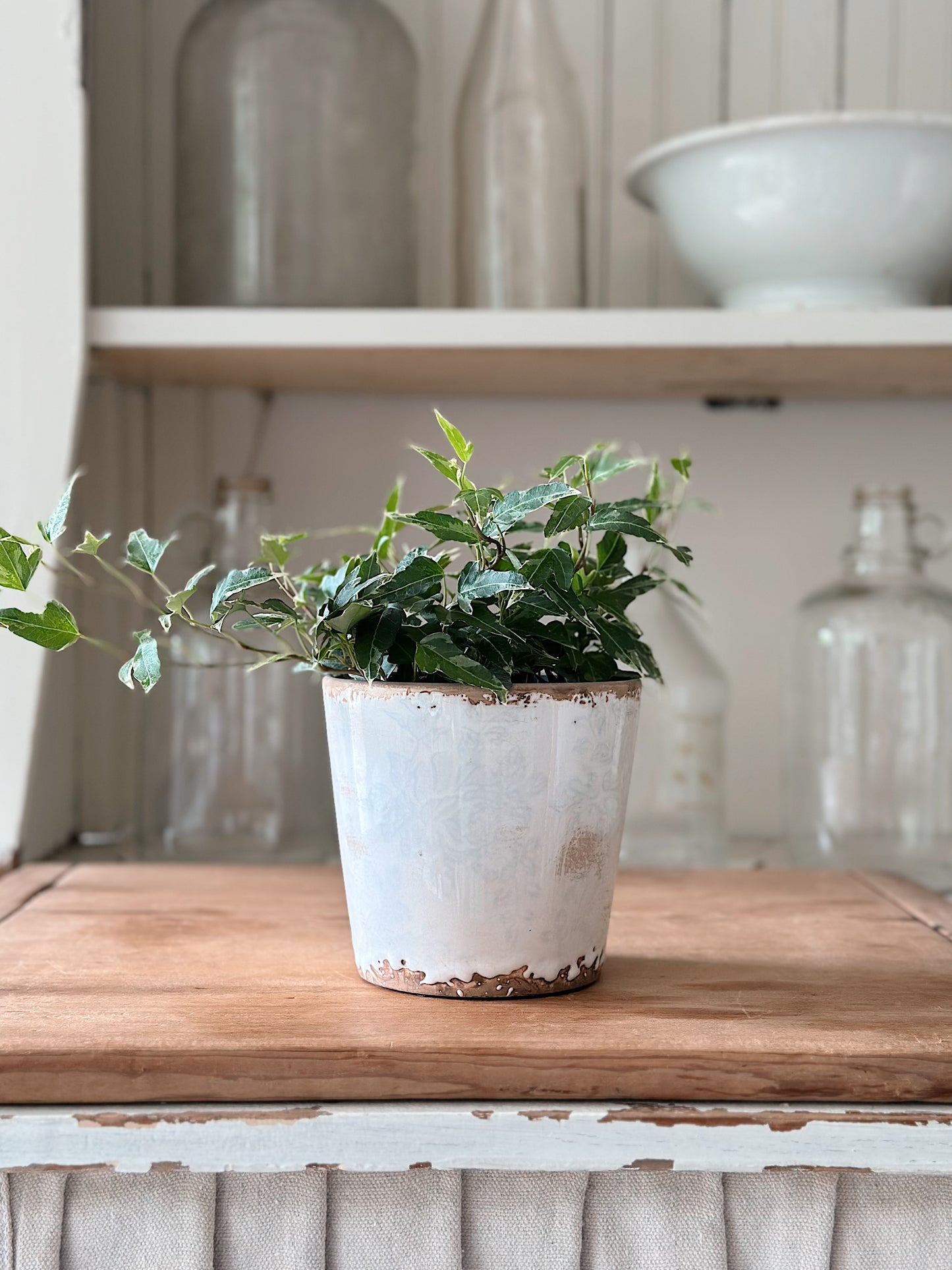 Antiqued Ceramic Flower Pot