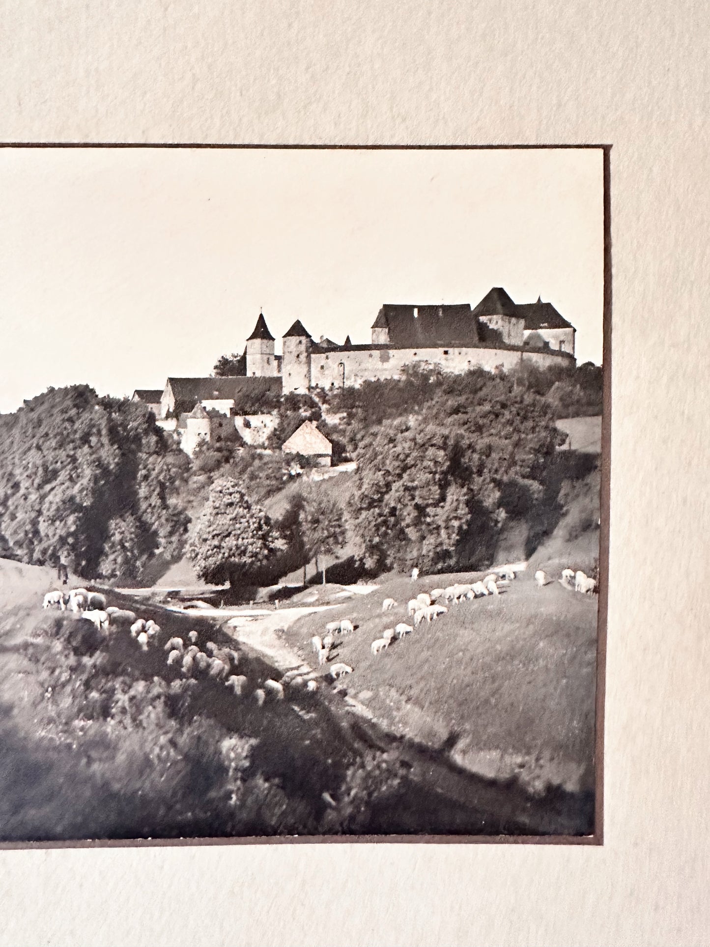 Vintage Photograph, European Hillside with Sheep