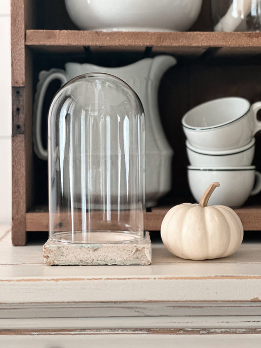 Vintage Plinth & Cloche