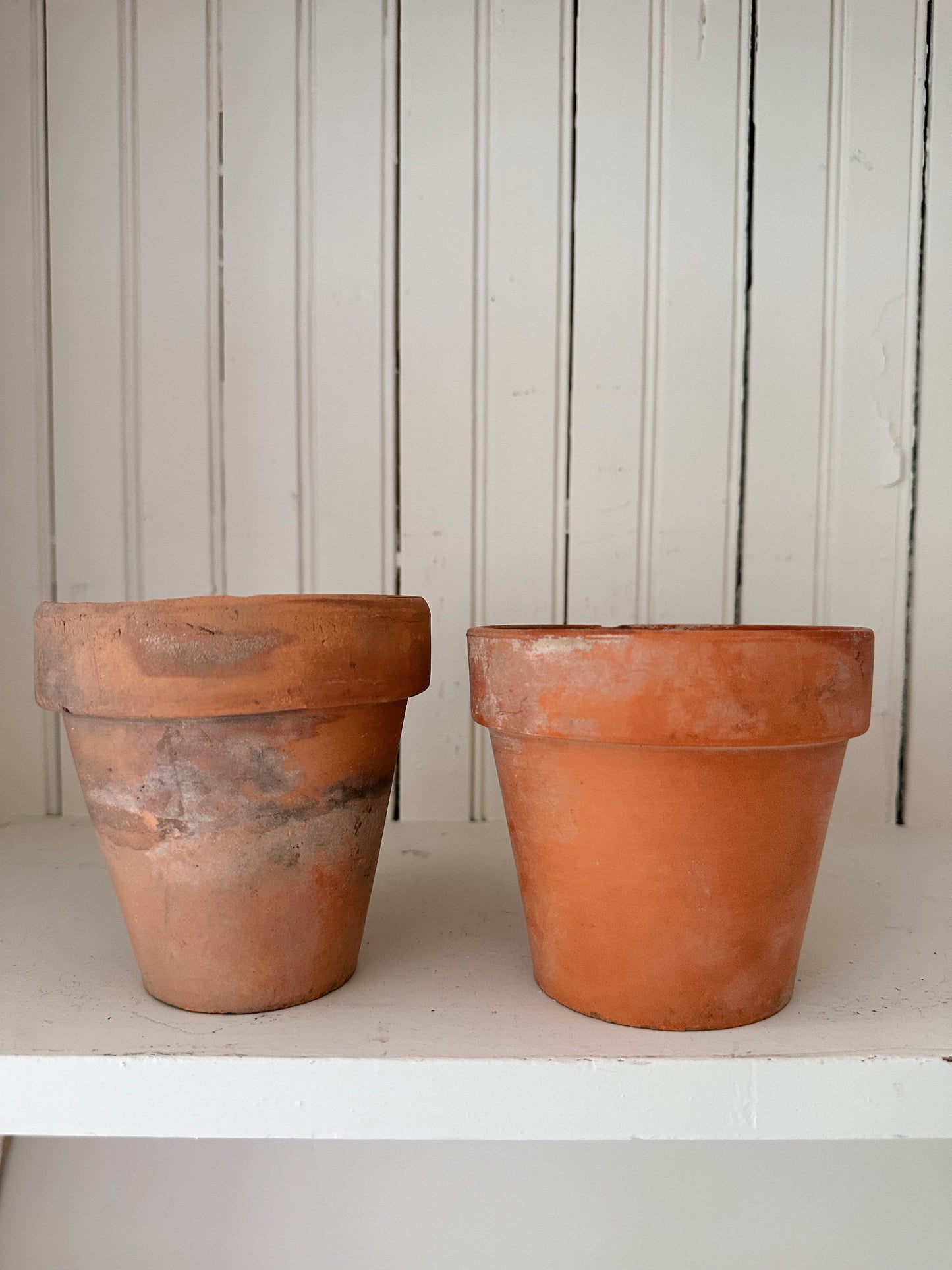 Vintage Chippy Wire Basket & Worn Terra Cotta Pots