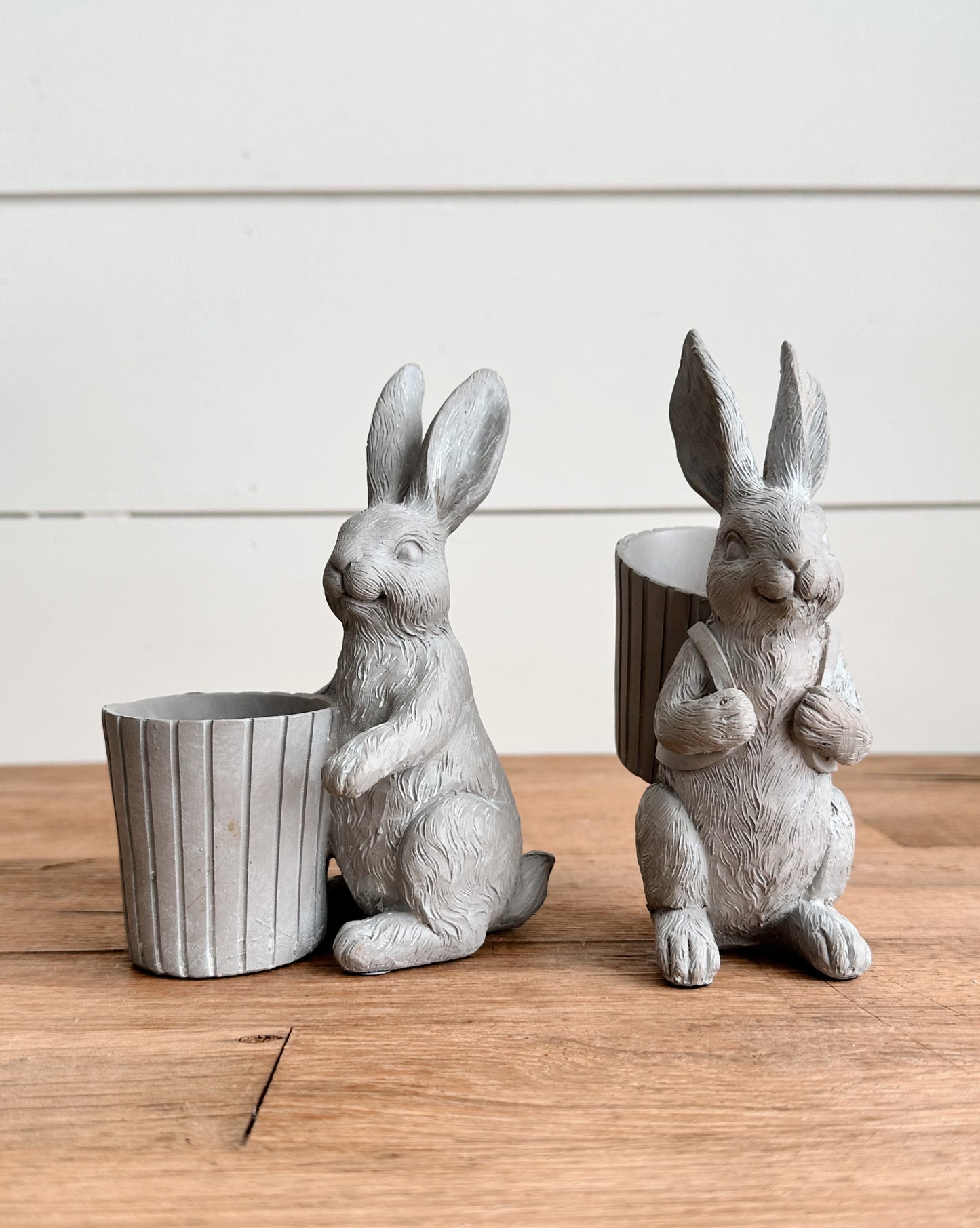 Bunnies with Buckets