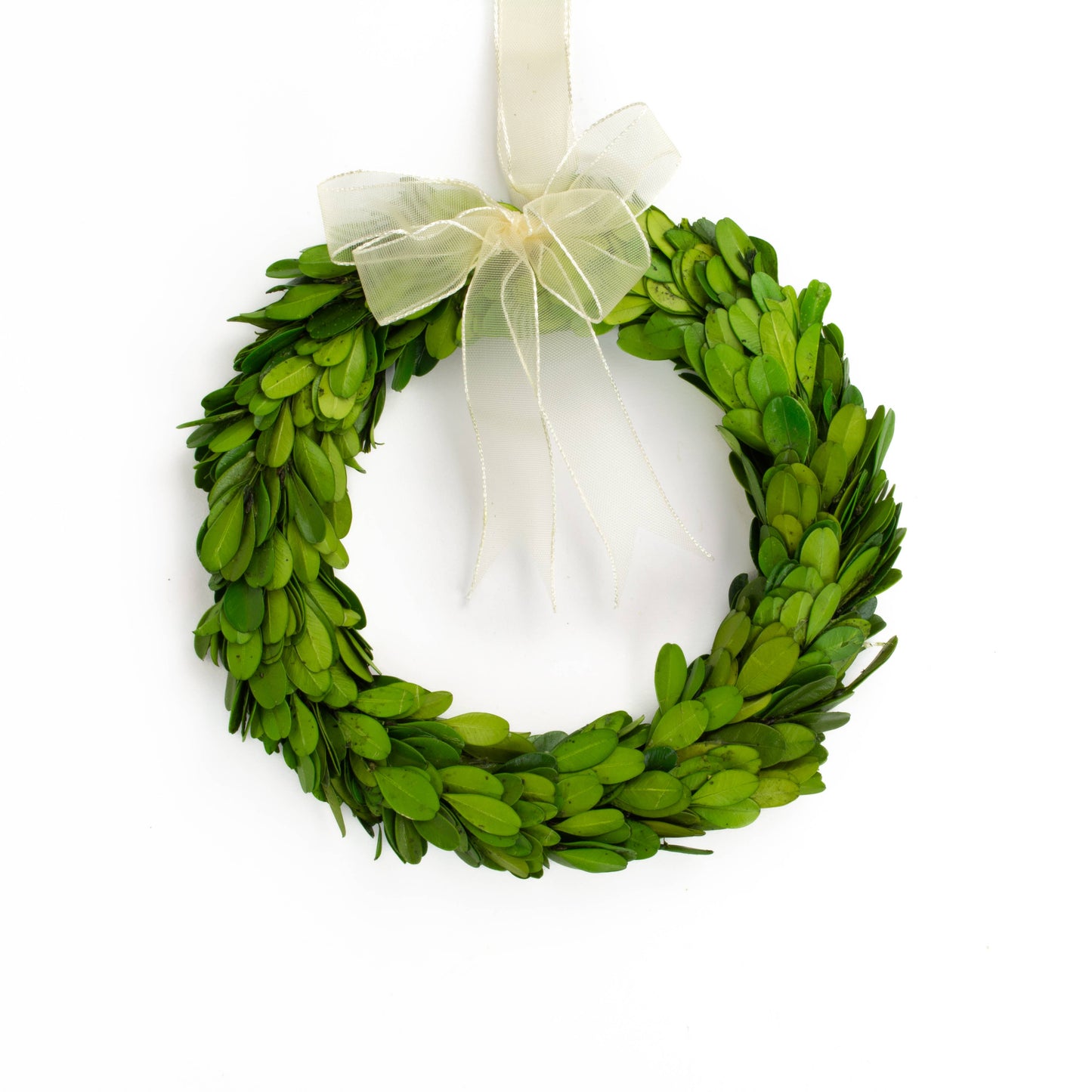 Preserved Boxwood Wreath