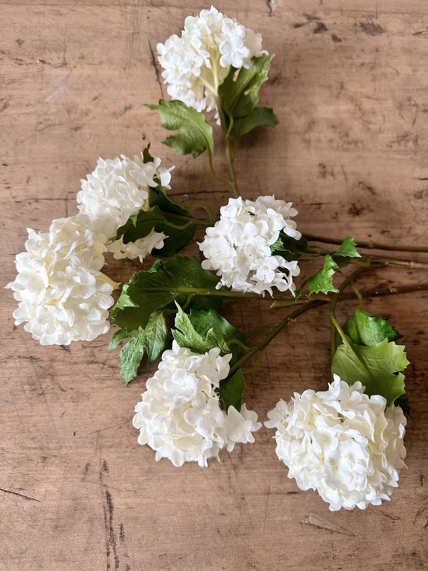 White Snowball Verbena Bundle (3 stems per bundle)