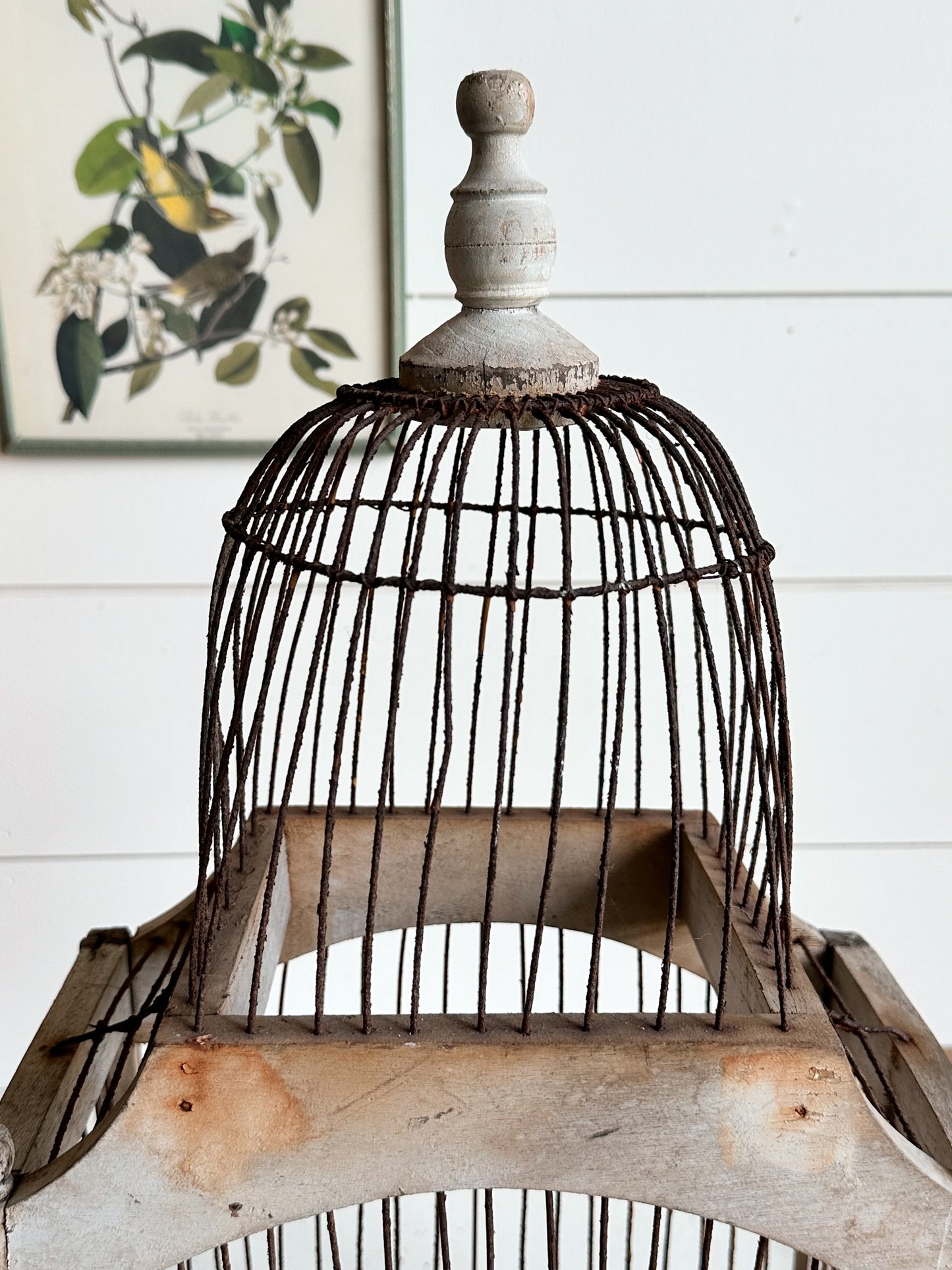 Vintage Birdcage