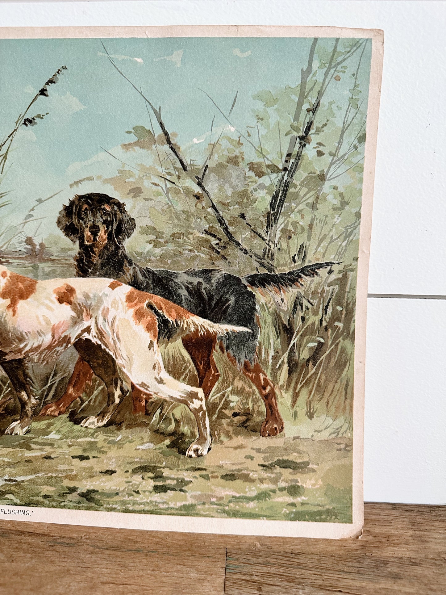 Vintage Dog Print