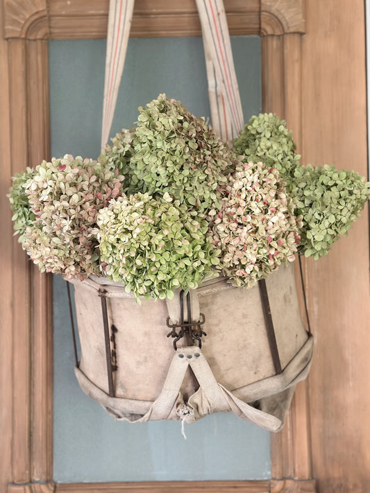 Vintage Apple Picking Bag