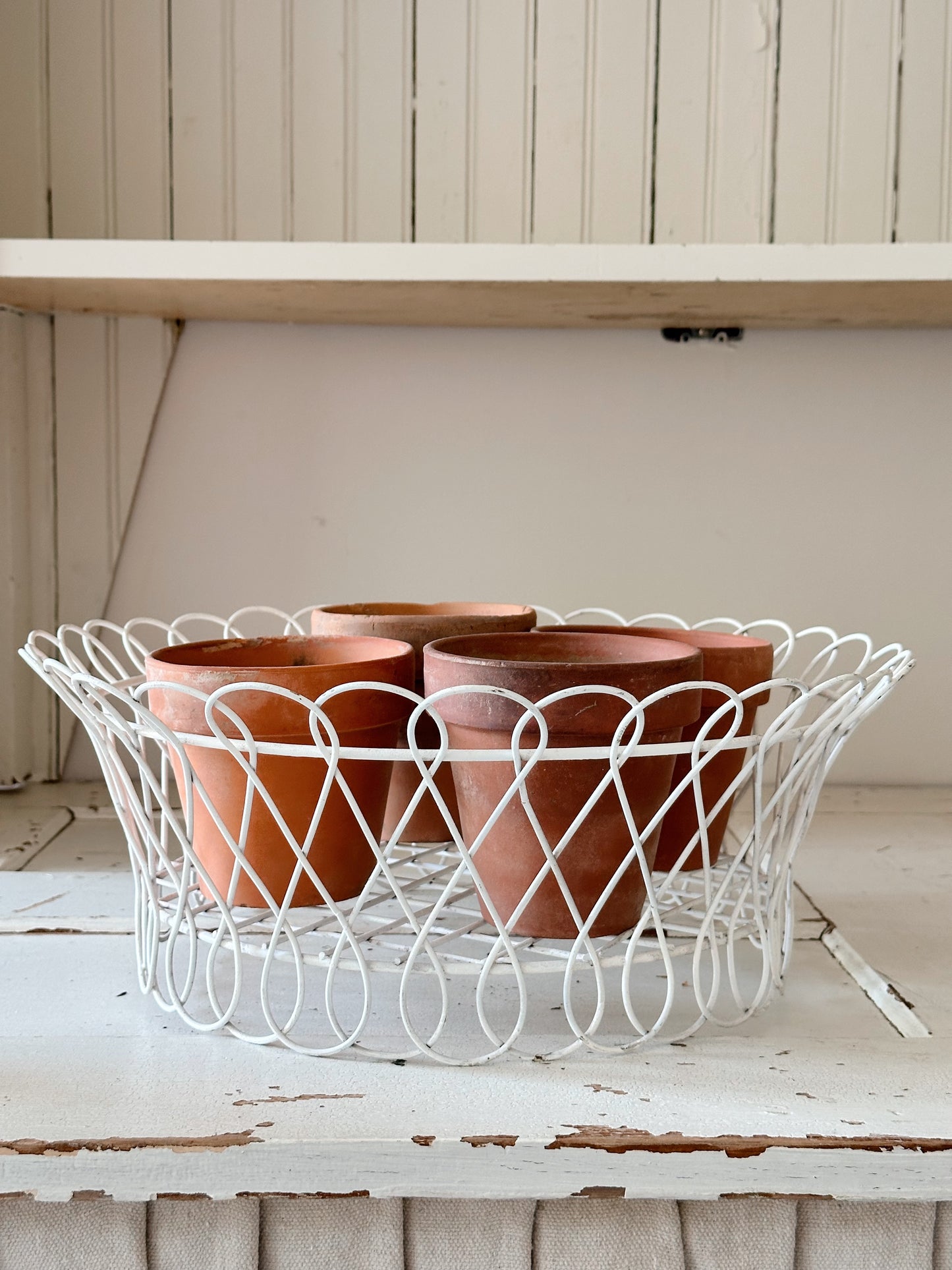 Vintage Chippy Wire Basket & Worn Terra Cotta Pots