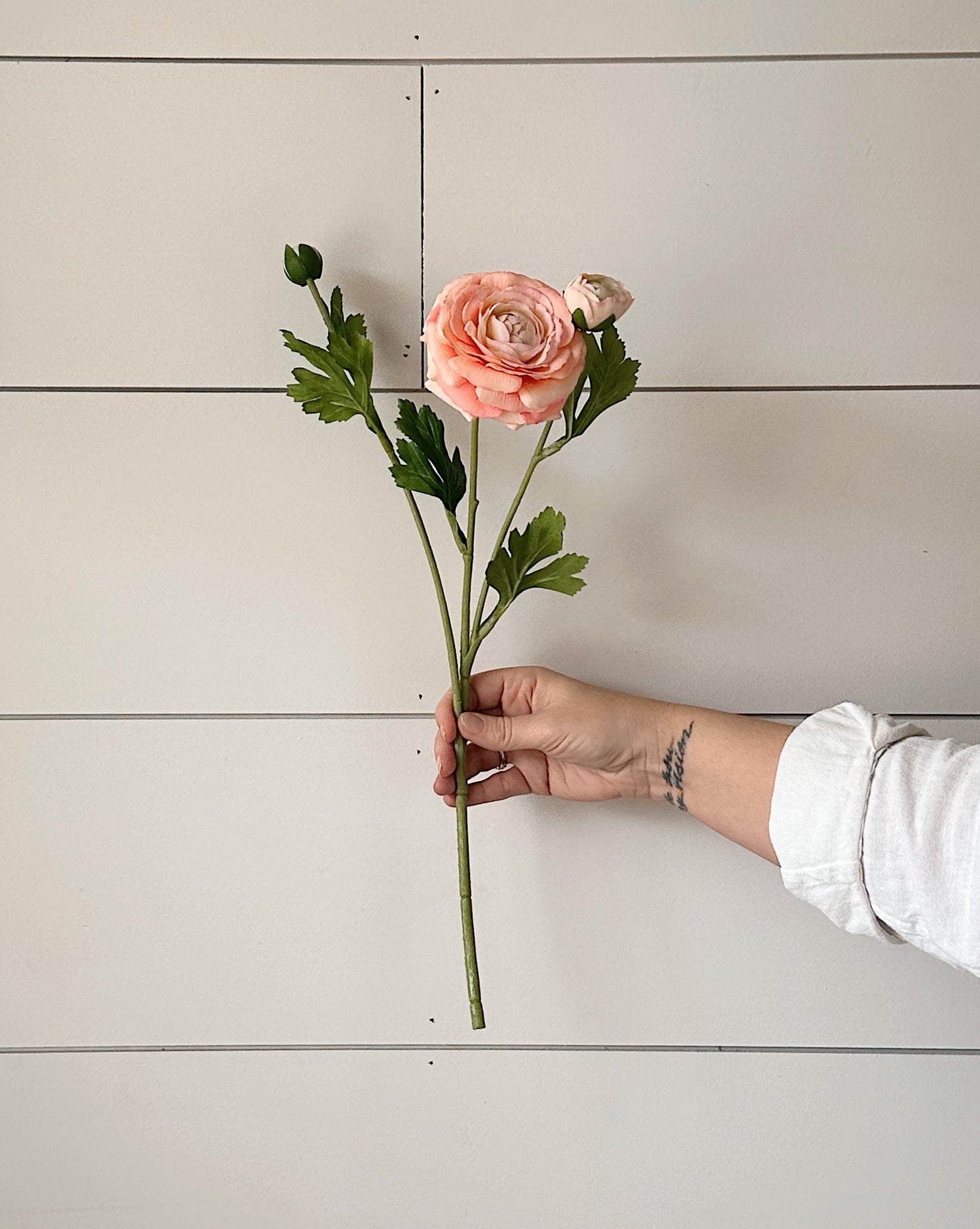 18” Soft Coral Peach Real Touch Ranunculus Bundle