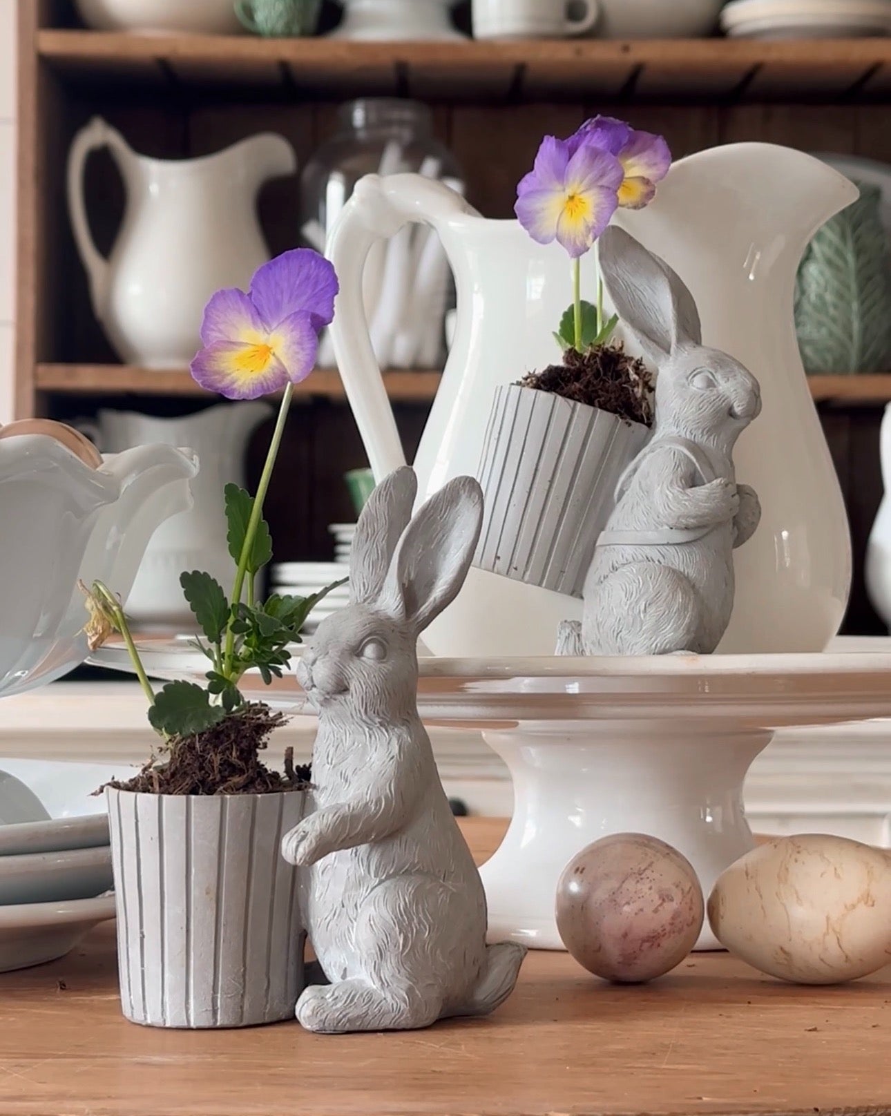 Bunny with a Bucket