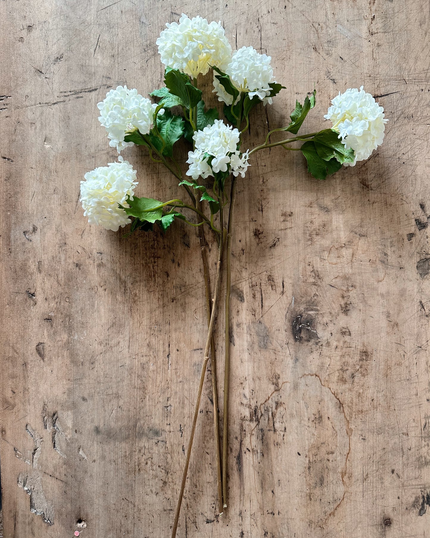 White Snowball Verbena Bundle (3 stems per bundle)