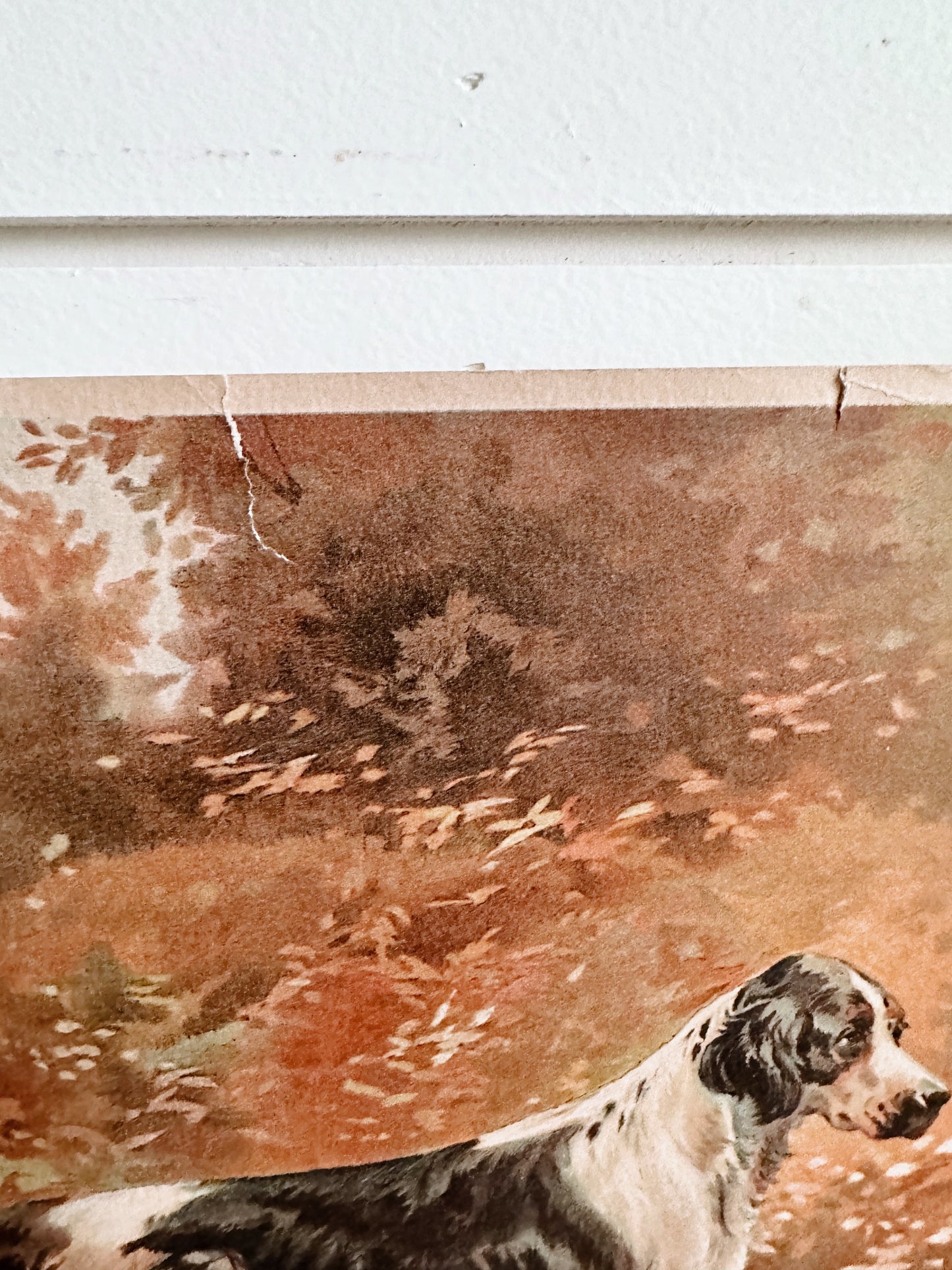 Vintage Dog Print