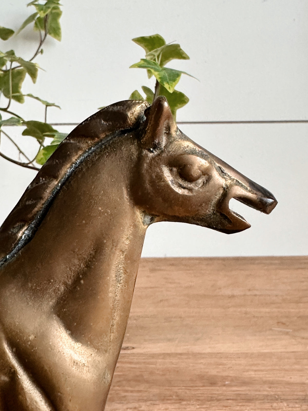 Vintage Brass Stallion
