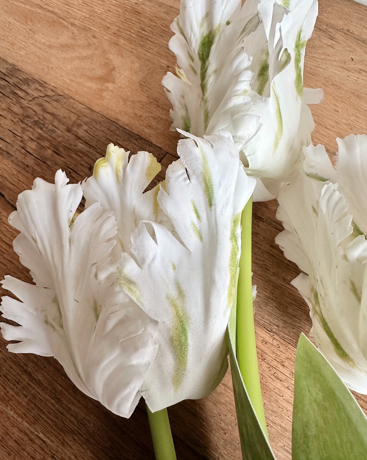 27" Soft Touch Parrot Tulip Bundle