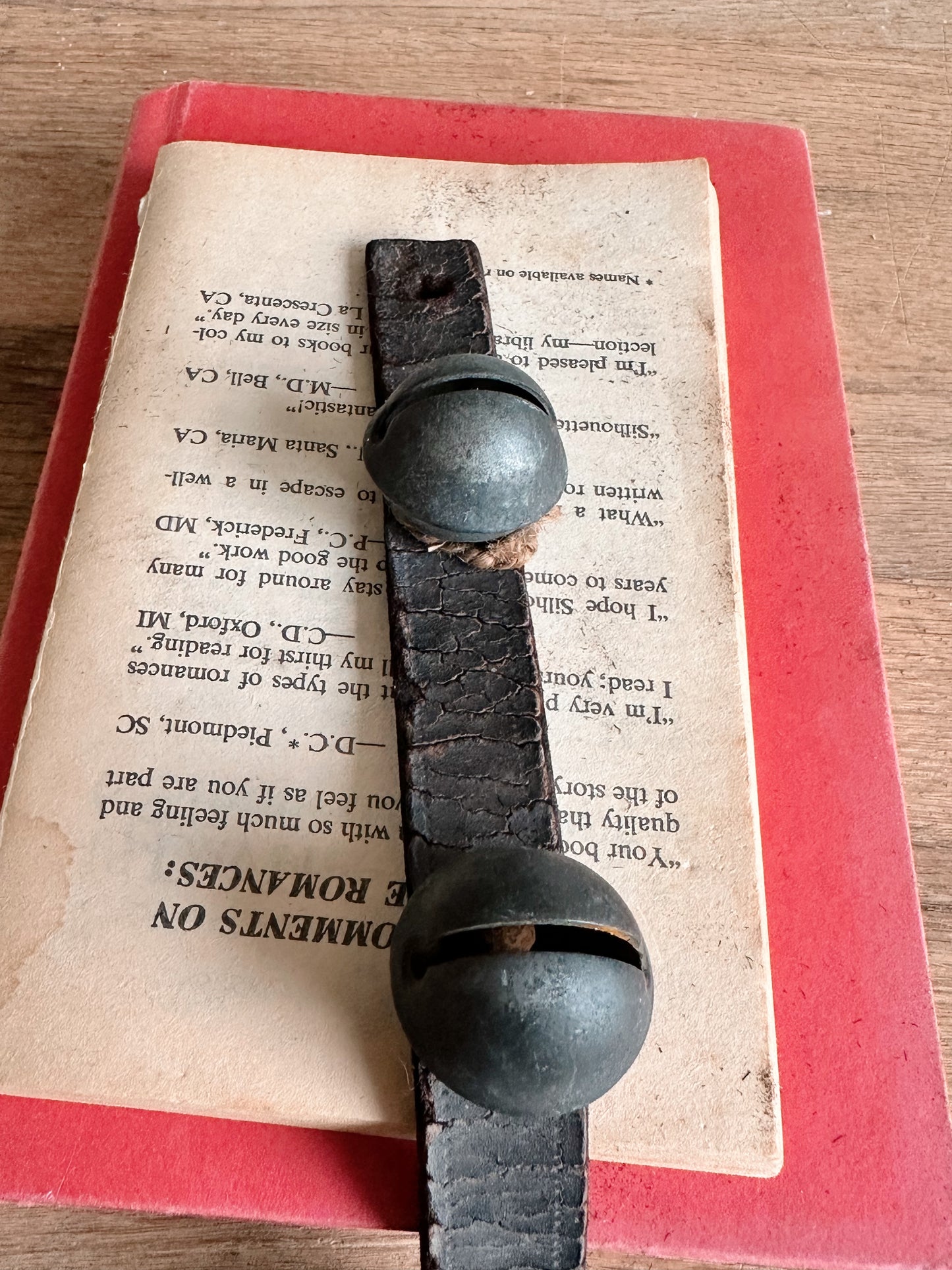 Antique Sleigh Bells