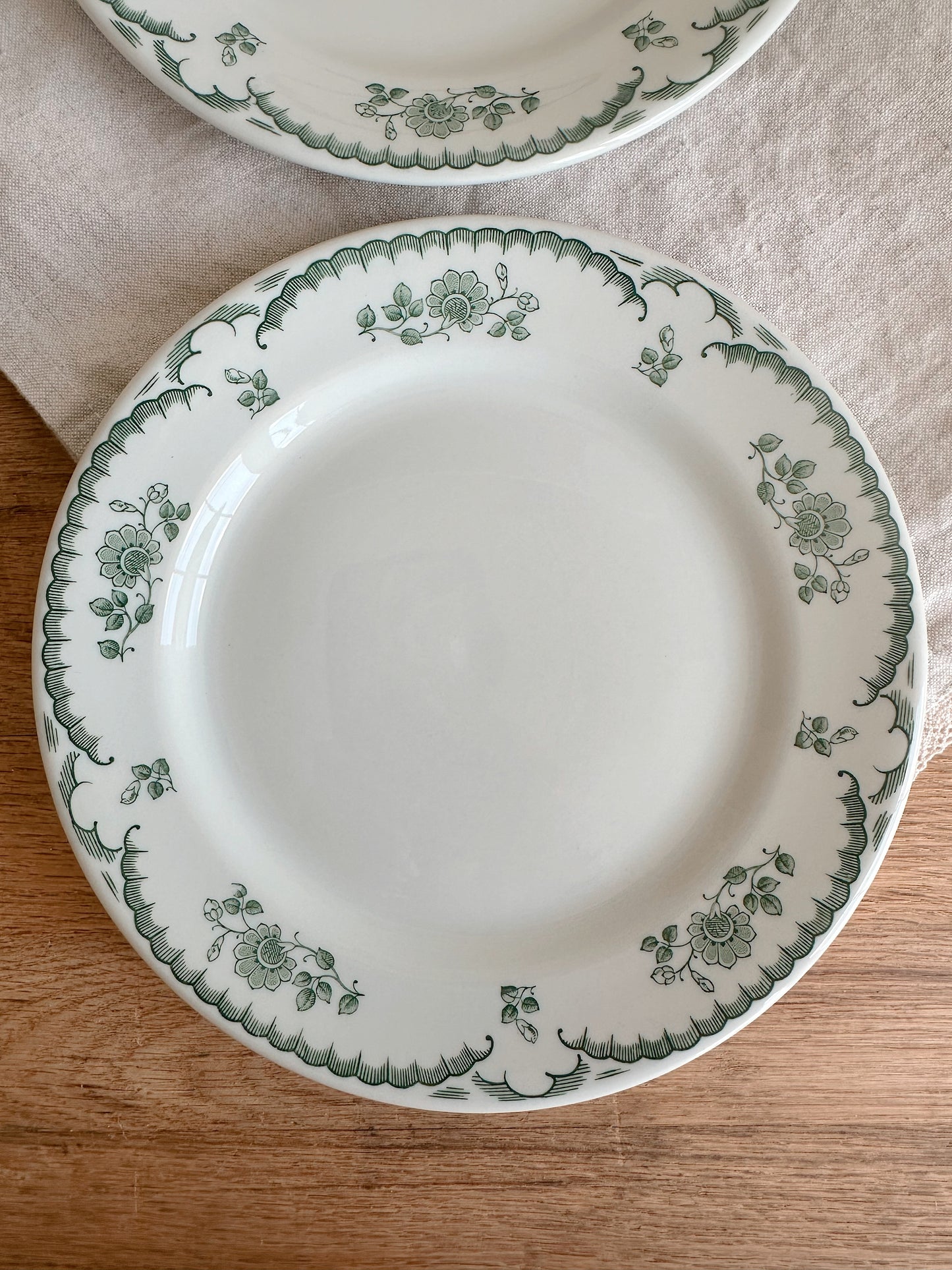Pair of Vintage Shenago China Restaurant Ware Plates, Chardon Rose Pattern
