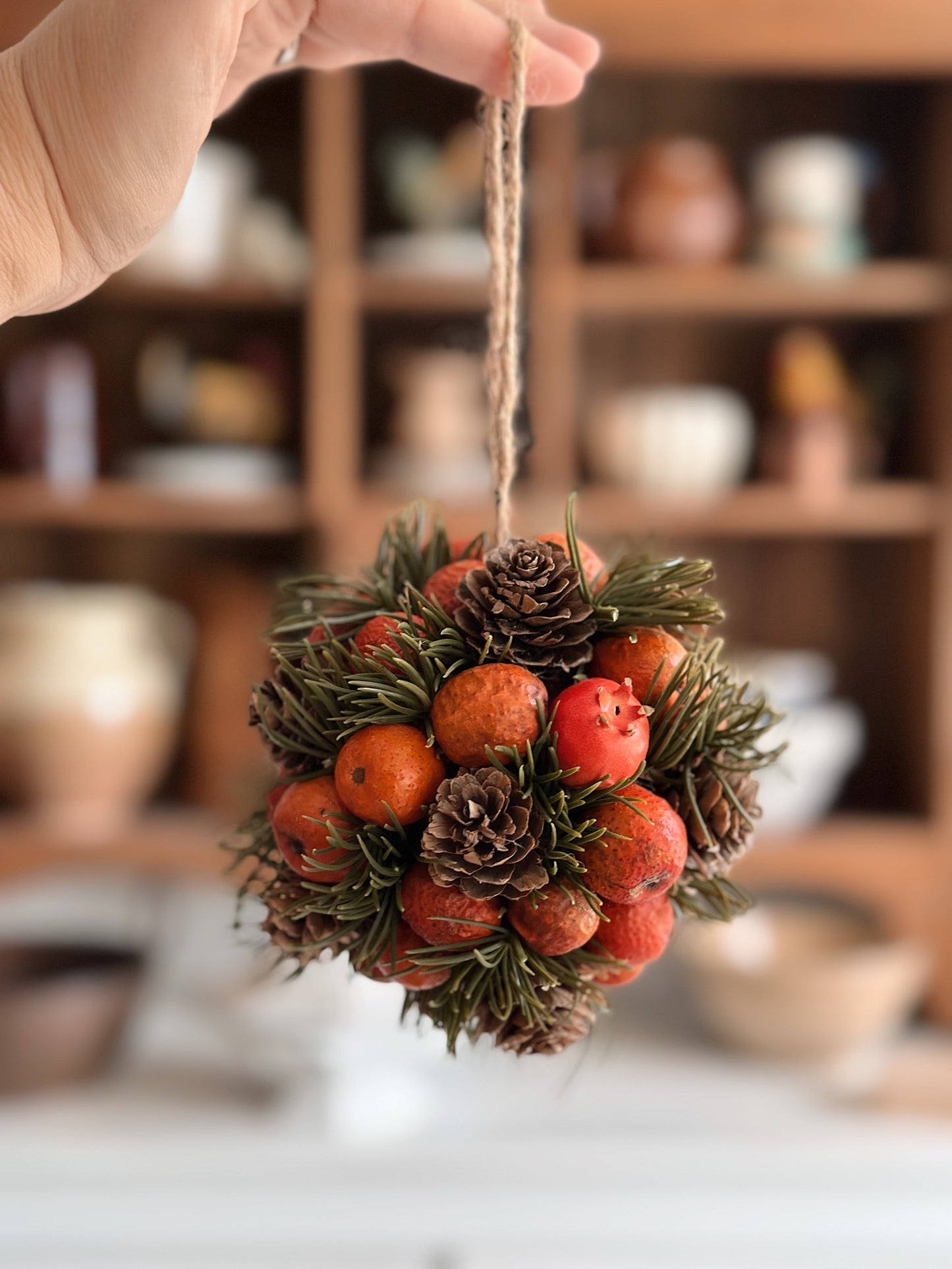 Pair of Foraged Pinecone Pods