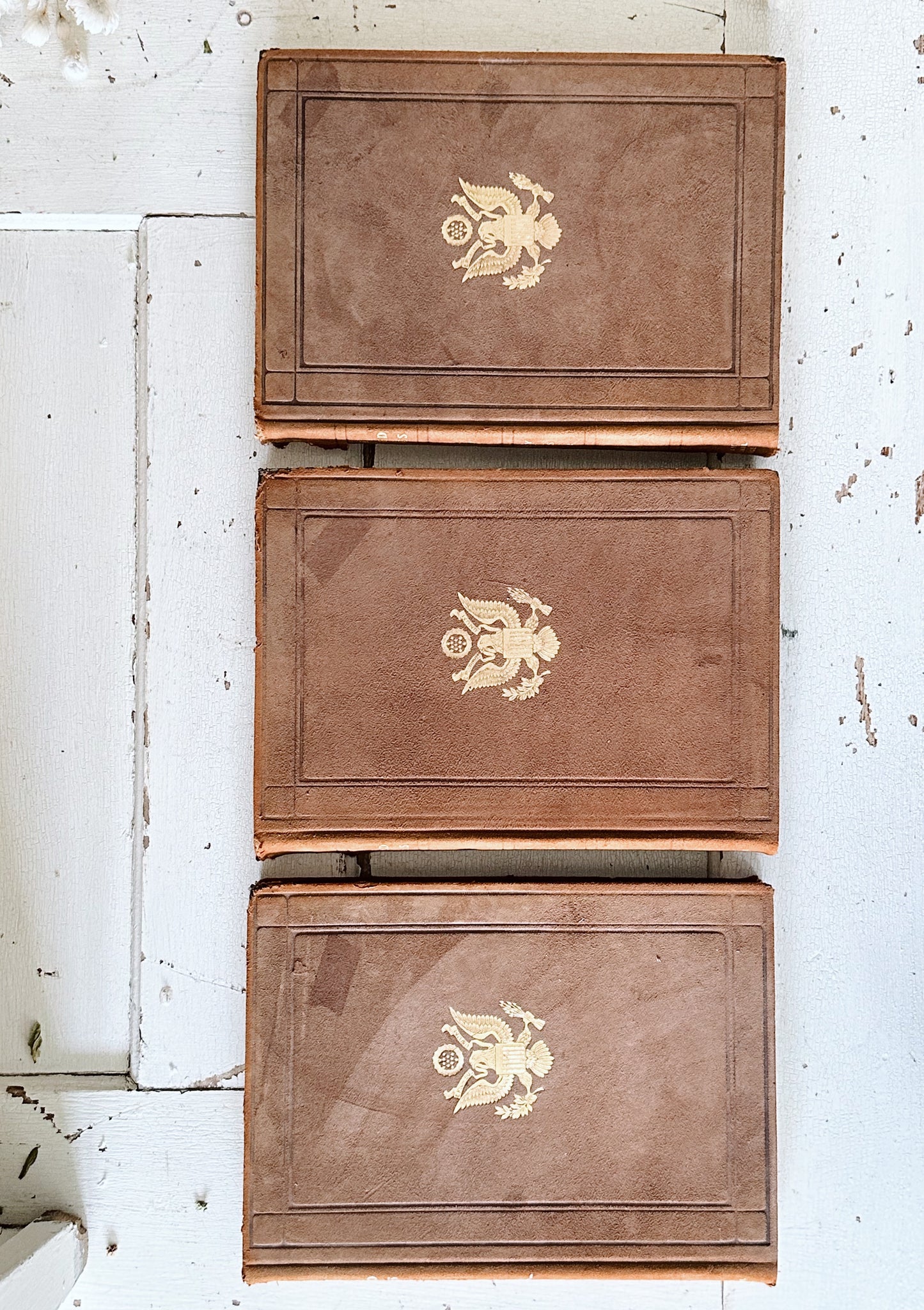 Collection of Three 1913 Antique Suede Bound The United States Books