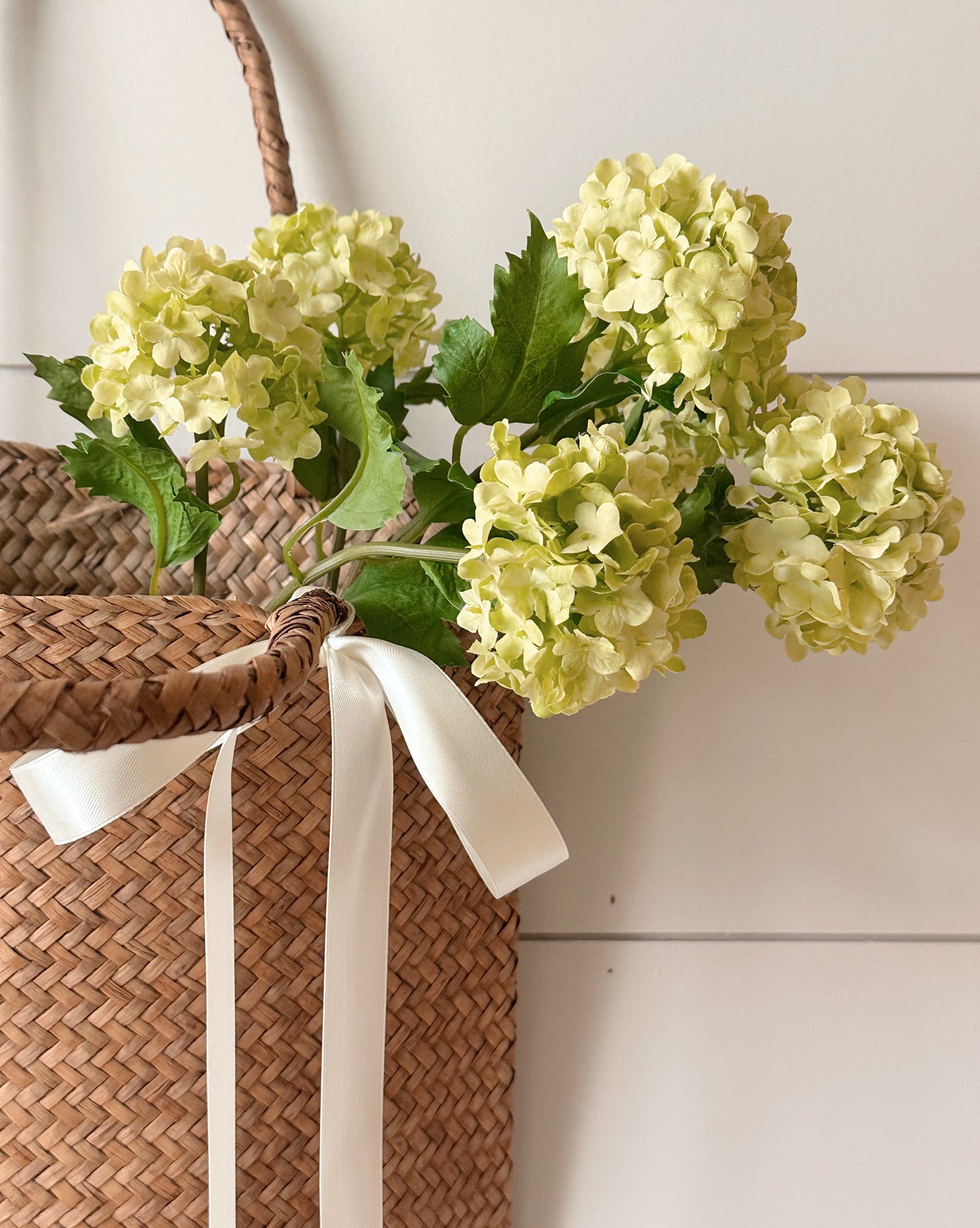 Green Snowball Verbena Bundle (3 stems per bundle)