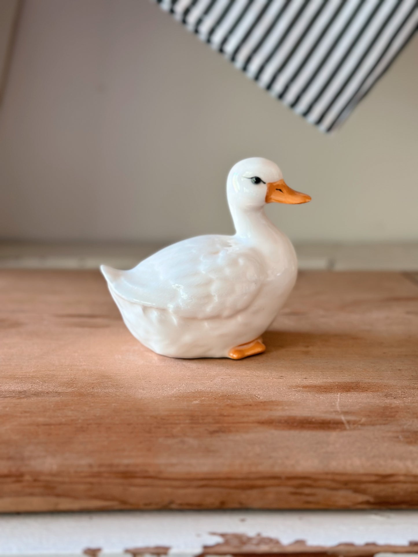 Sweet Little Vintage Duck