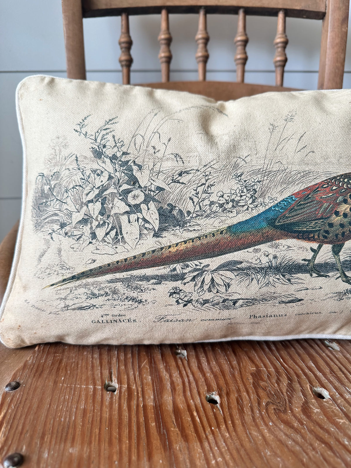 Pheasant Lumbar Pillow