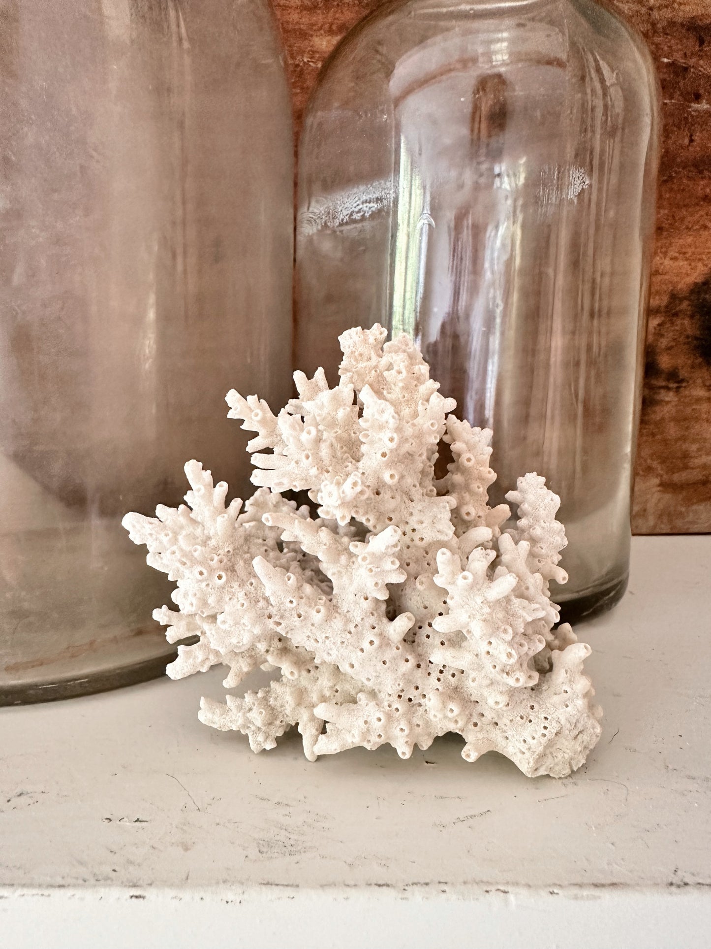 Natural Coral Piece