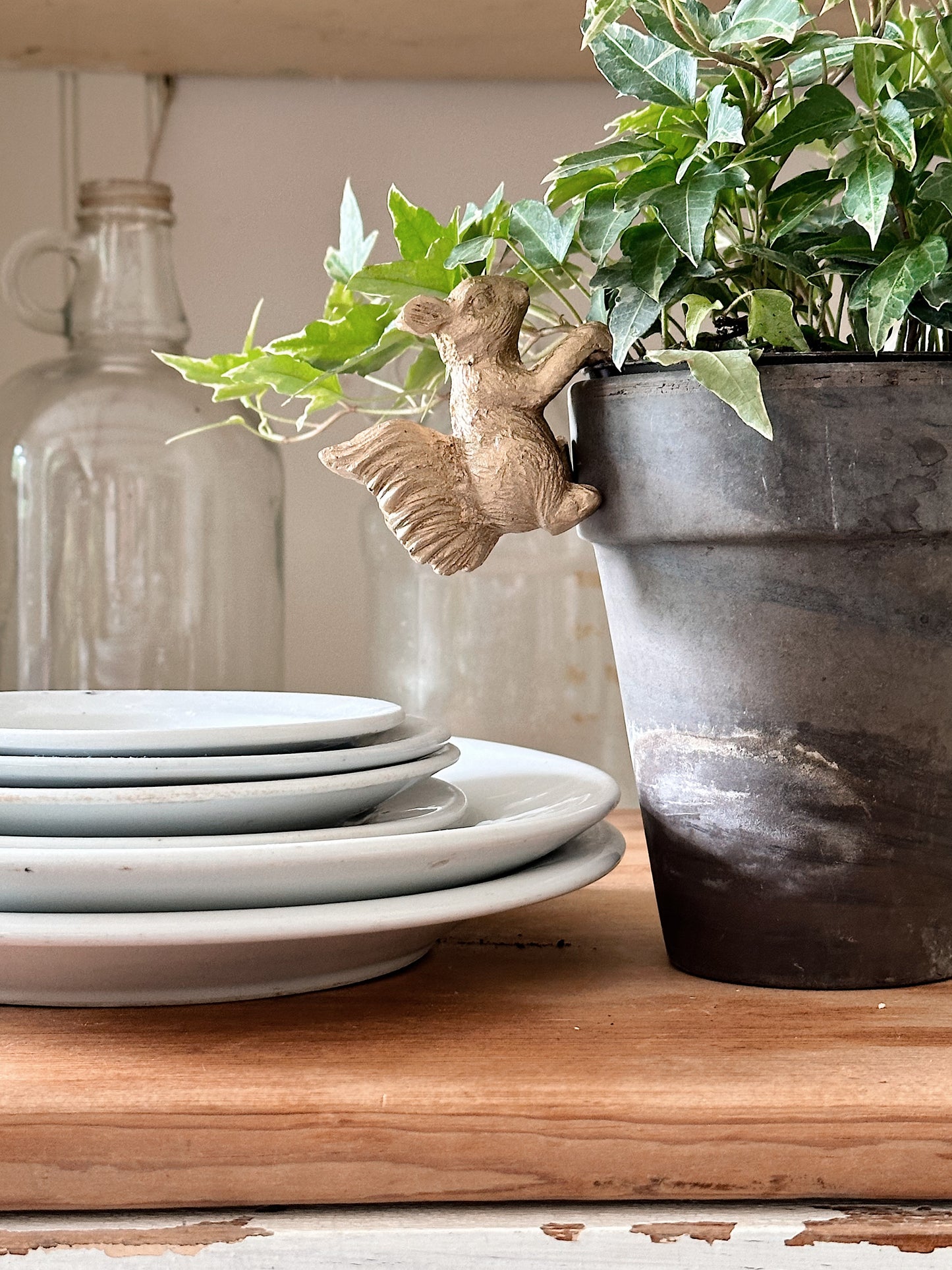 Set of Two Squirrel Flower Pot Hangers