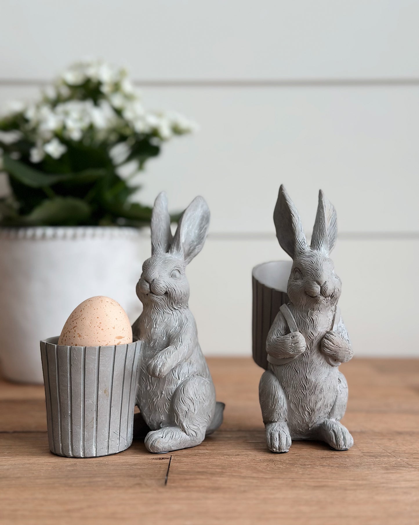 Bunnies with Buckets