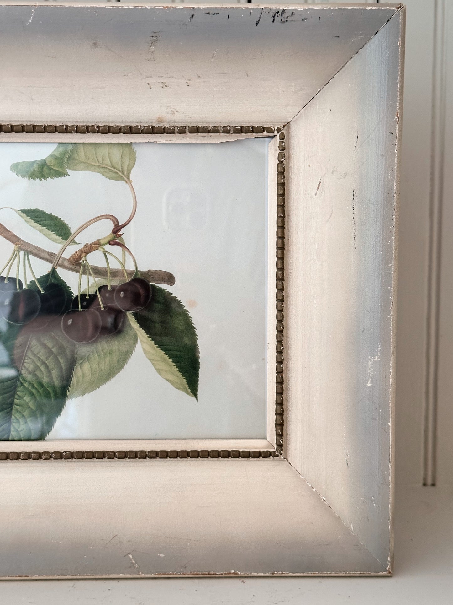 Vintage Framed Botanical Print (Dark Cherries)