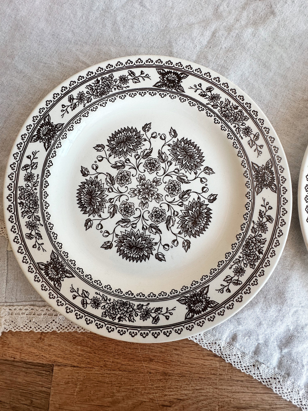 Pair of Vintage Vendome Transferware Dinner Plates
