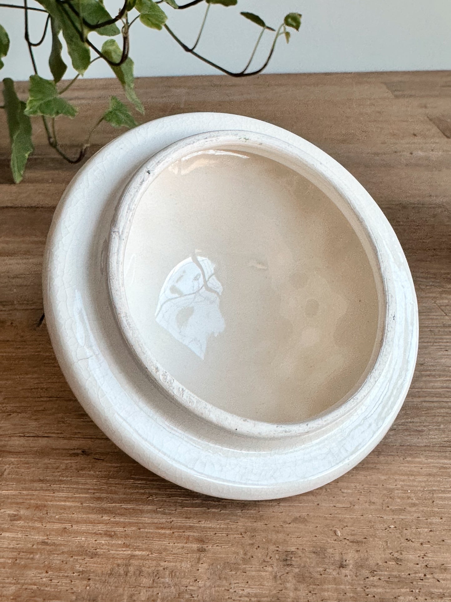 Vintage Hand Painted Sugar Pot (Japan)