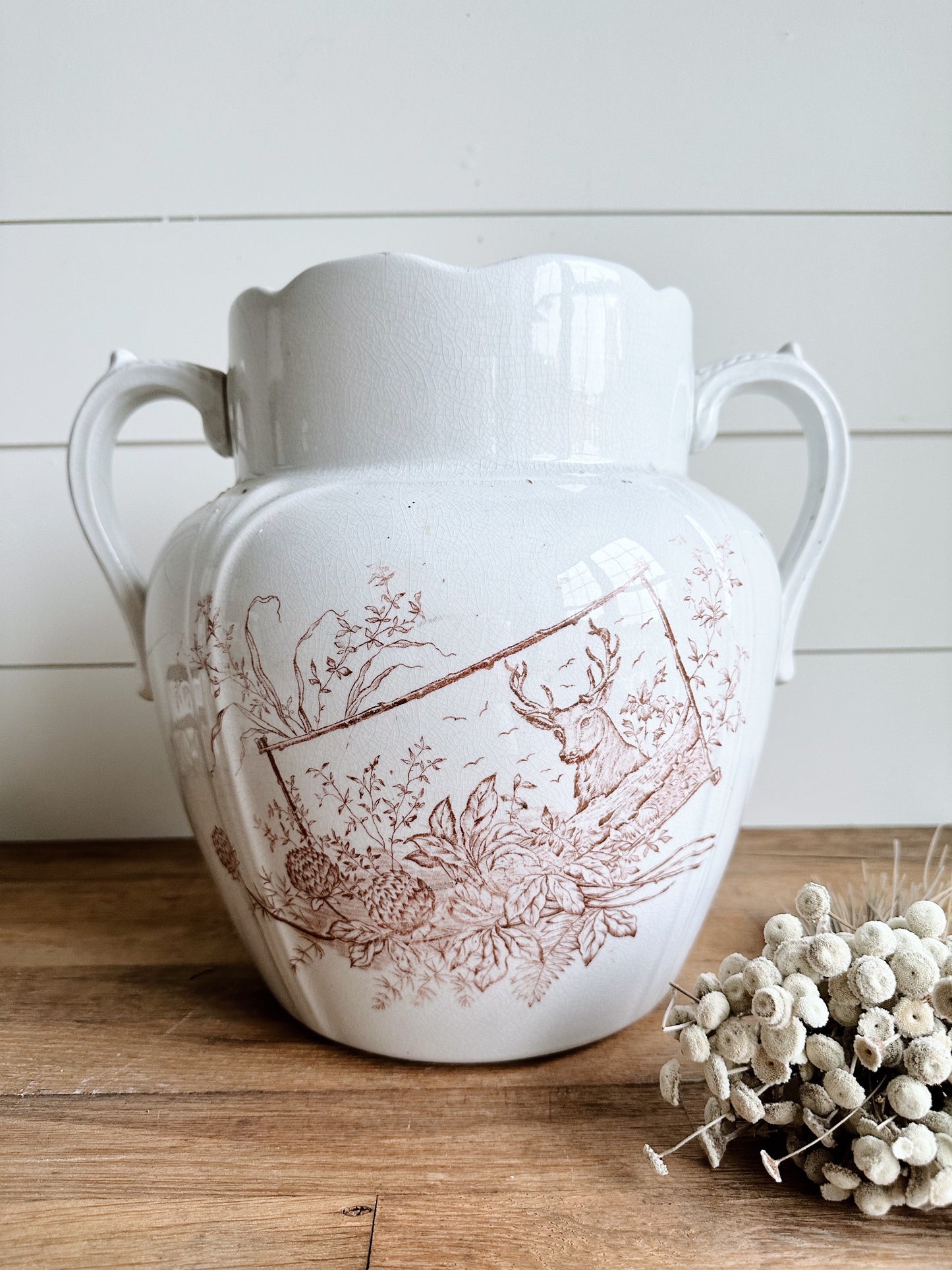 Ironstone Aesthetic Transferware Waste/Slop Pot