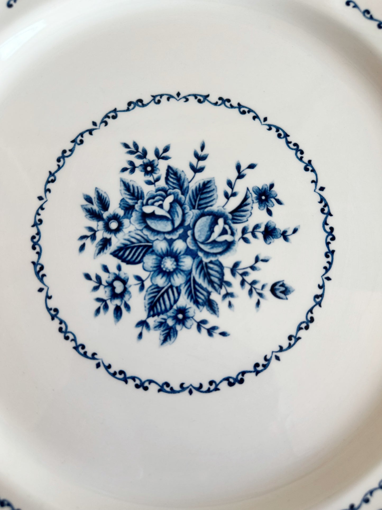 Pair of Vintage Blue & White Transferware Plates