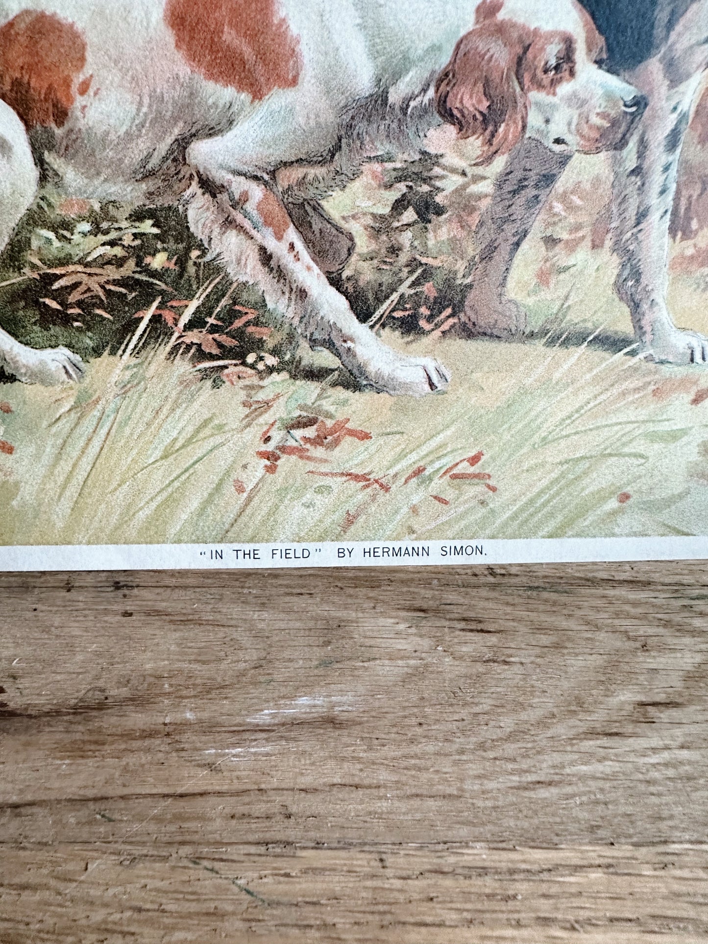 Vintage Dog Print