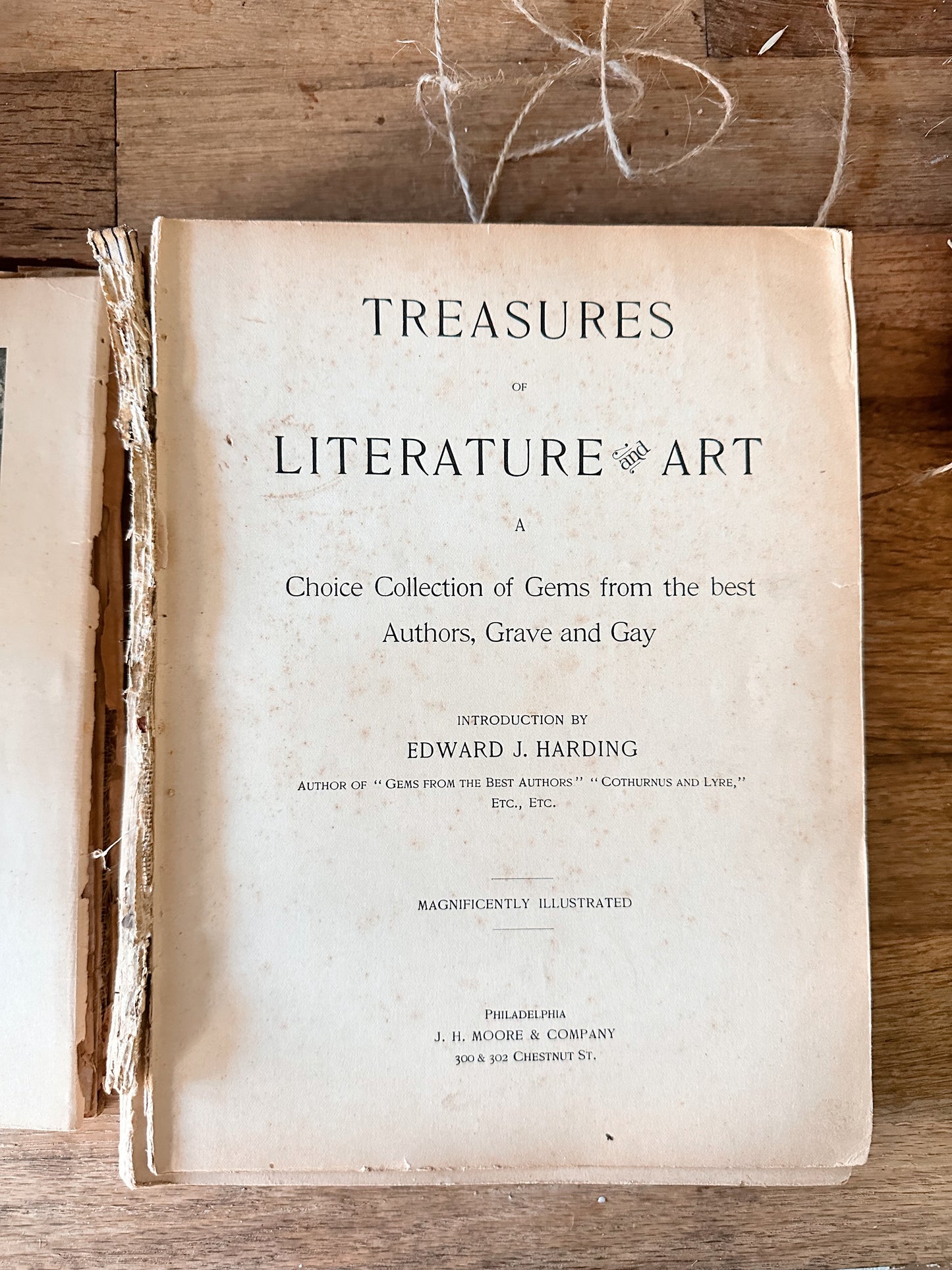 Antique Treasures of Literature & Art