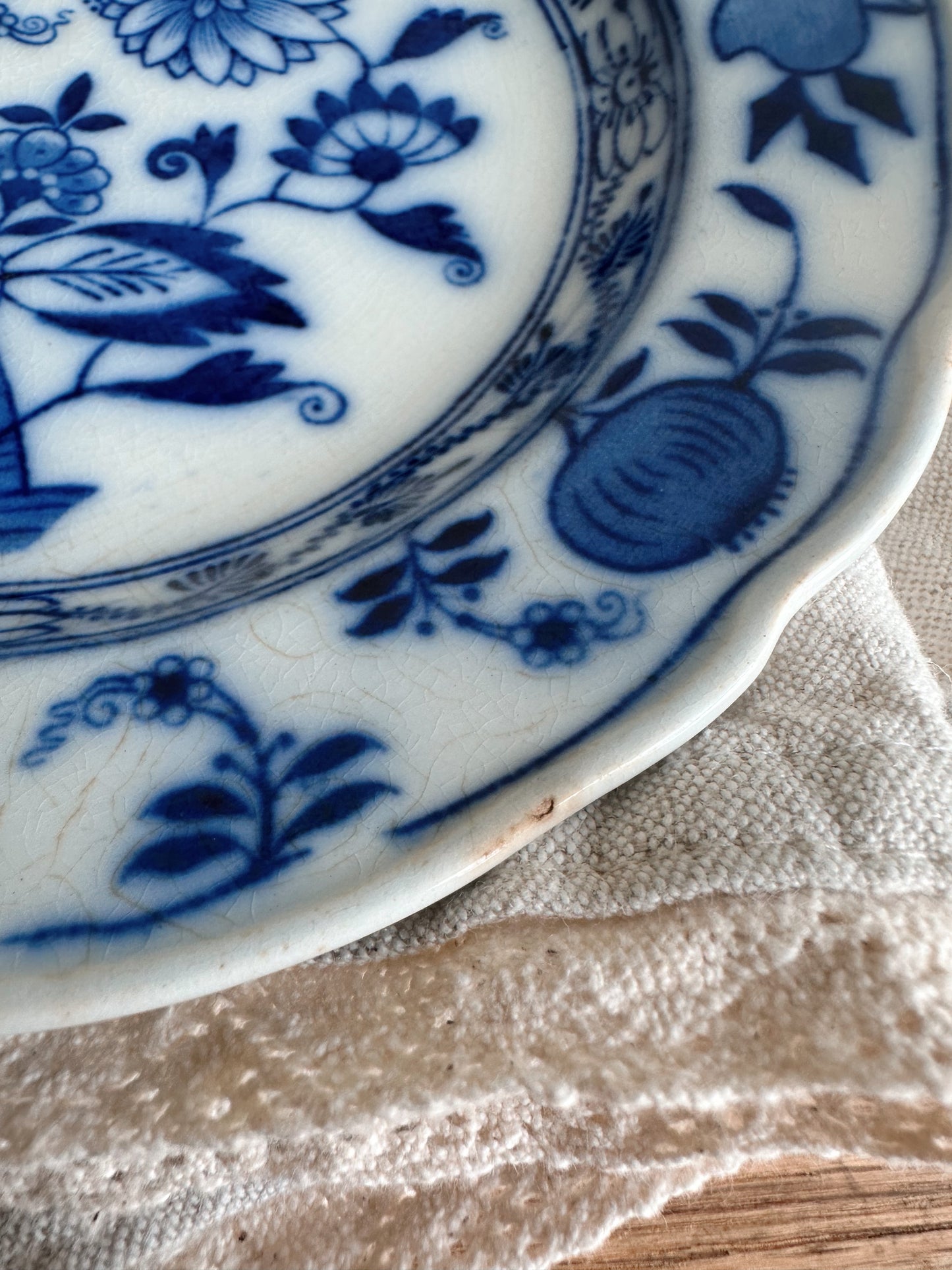 Pair of Antique English Onion Ware Plates