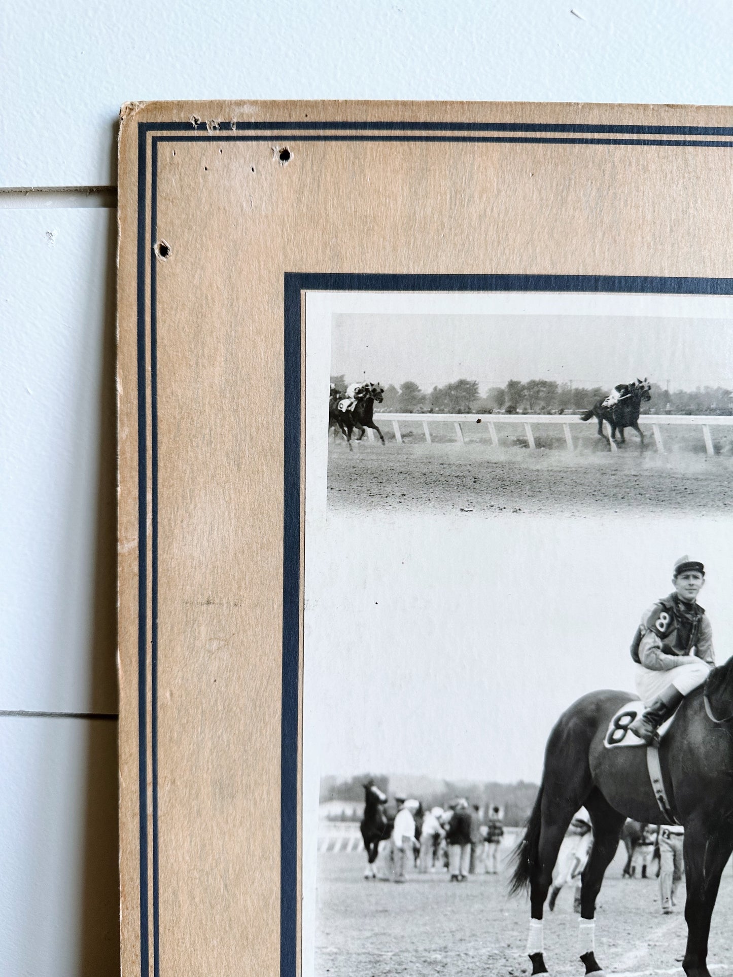 Vintage 1953 Derby Photo (Our Pigeon)