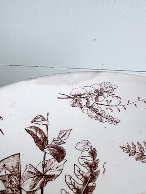 Vintage Brown and White Transferware Compote