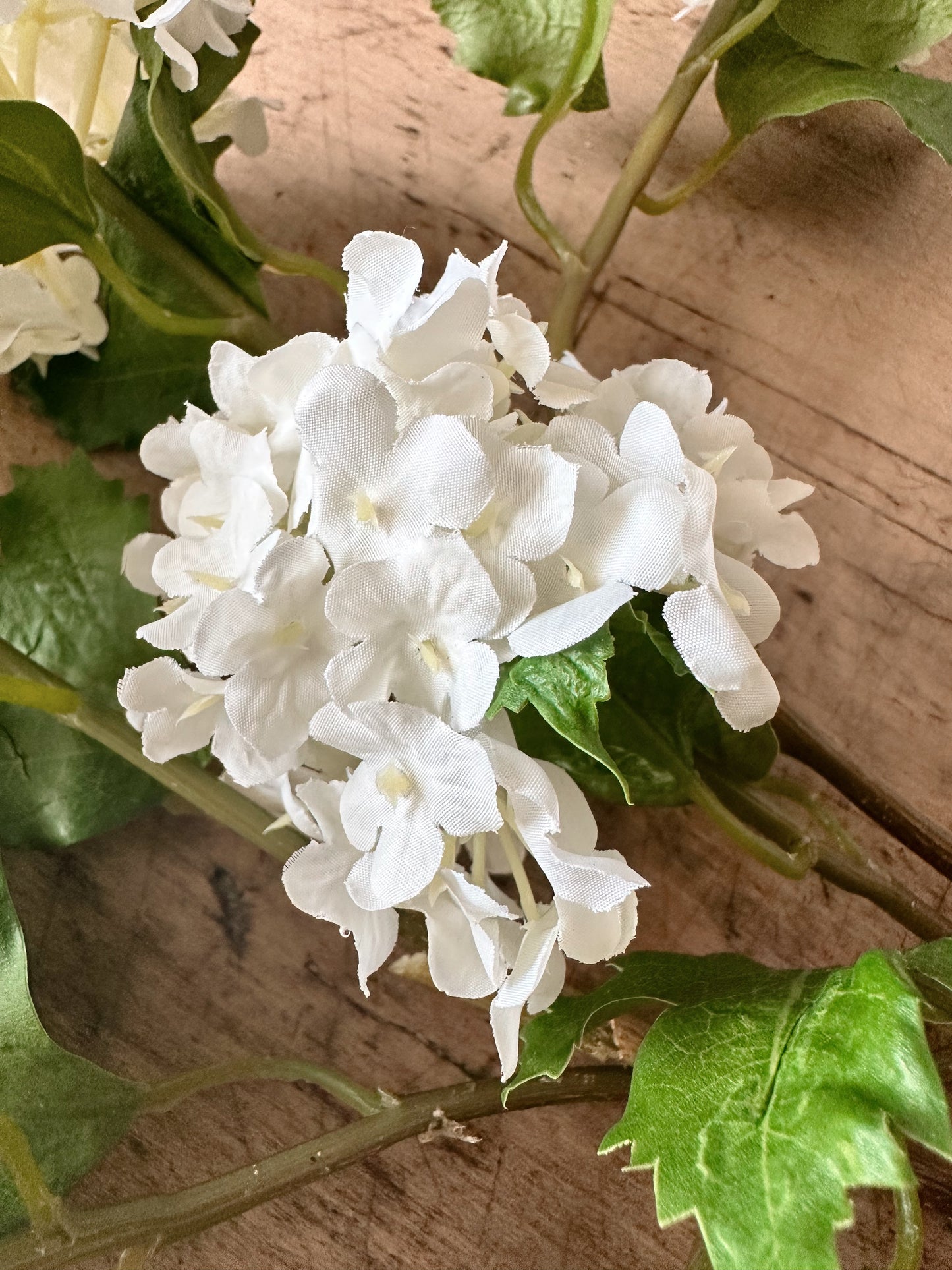 White Snowball Verbena Bundle (3 stems per bundle)
