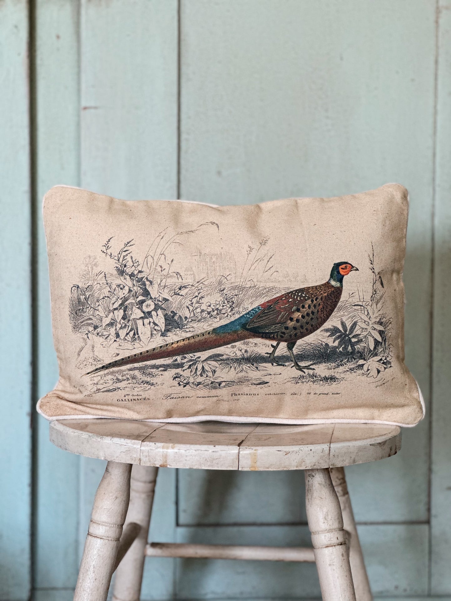 Back in Stock! - Pheasant Lumbar Pillow