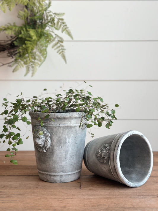 European Inspired Lion Planter